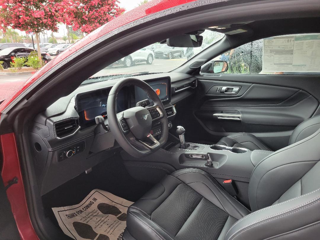 S650 Mustang Picked Up Faux Horse this Morning Photo 6