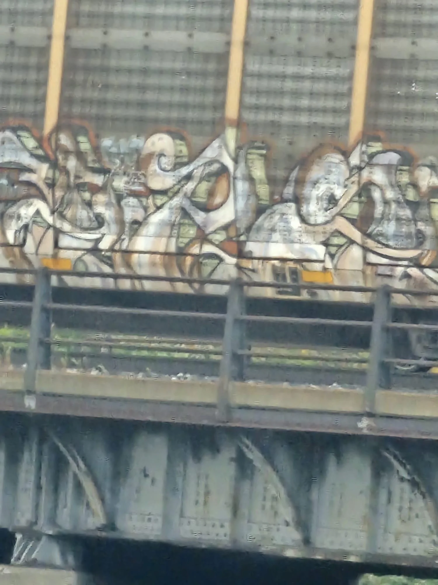 1000056643.webp