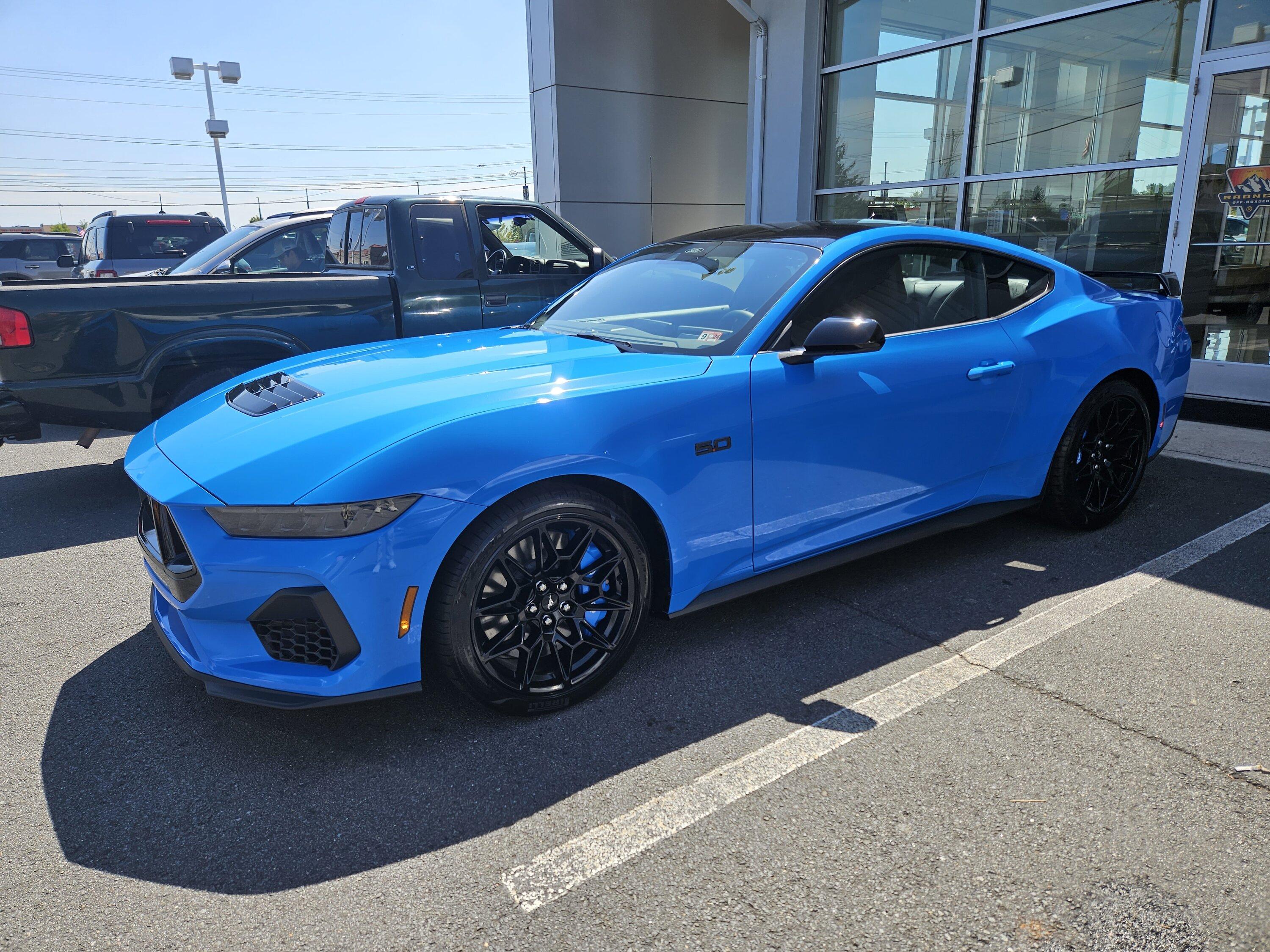 93-Oct Mayne's Grabber Blue GT is home! Photos! | Mustang7G - 2024