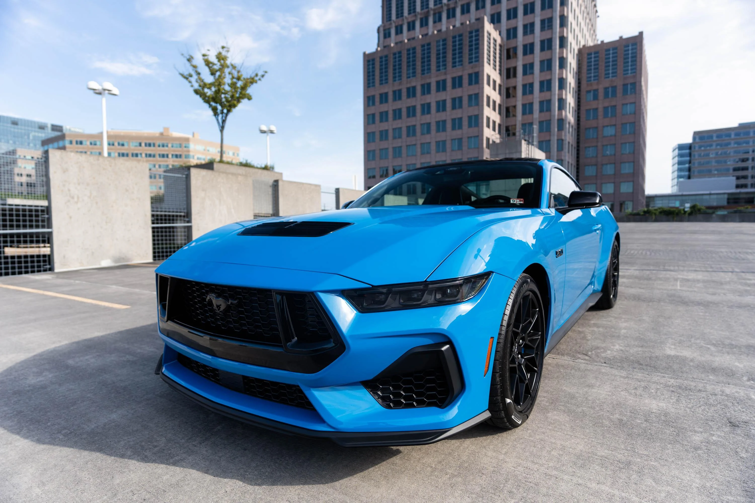 S650 Mustang 93-Oct Mayne's Grabber Blue GT is home! Photos! DSC01170-Edit