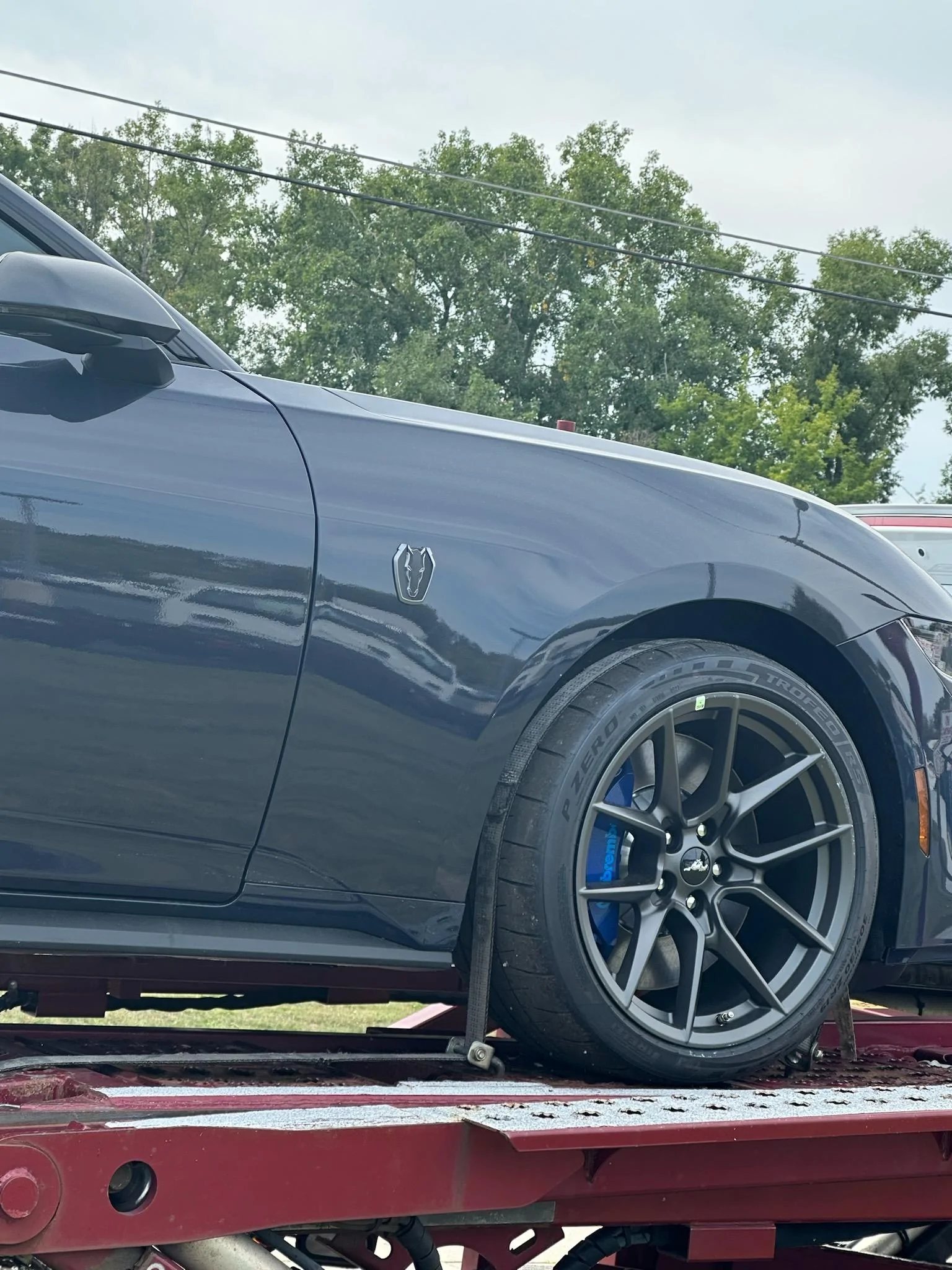 S650 Mustang Delivery Pics & Video: Pyroguy's Blue Ember Dark Horse, HP 63964