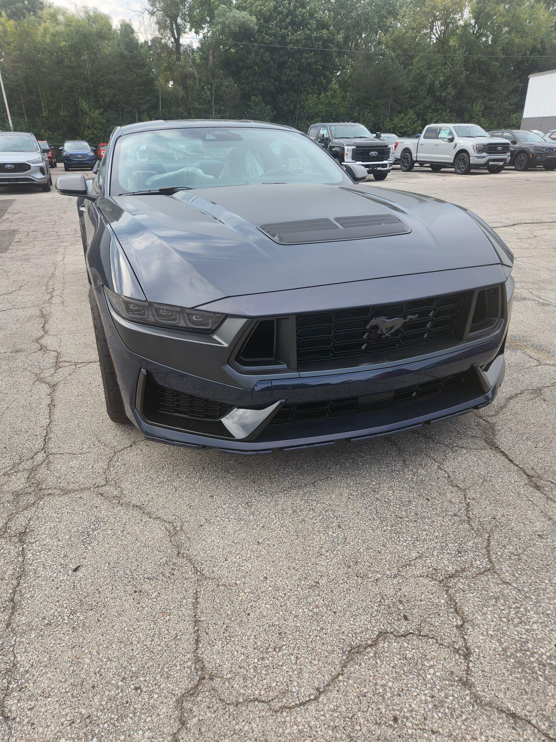 S650 Mustang Delivery Pics & Video: Pyroguy's Blue Ember Dark Horse, HP 20230905_165408