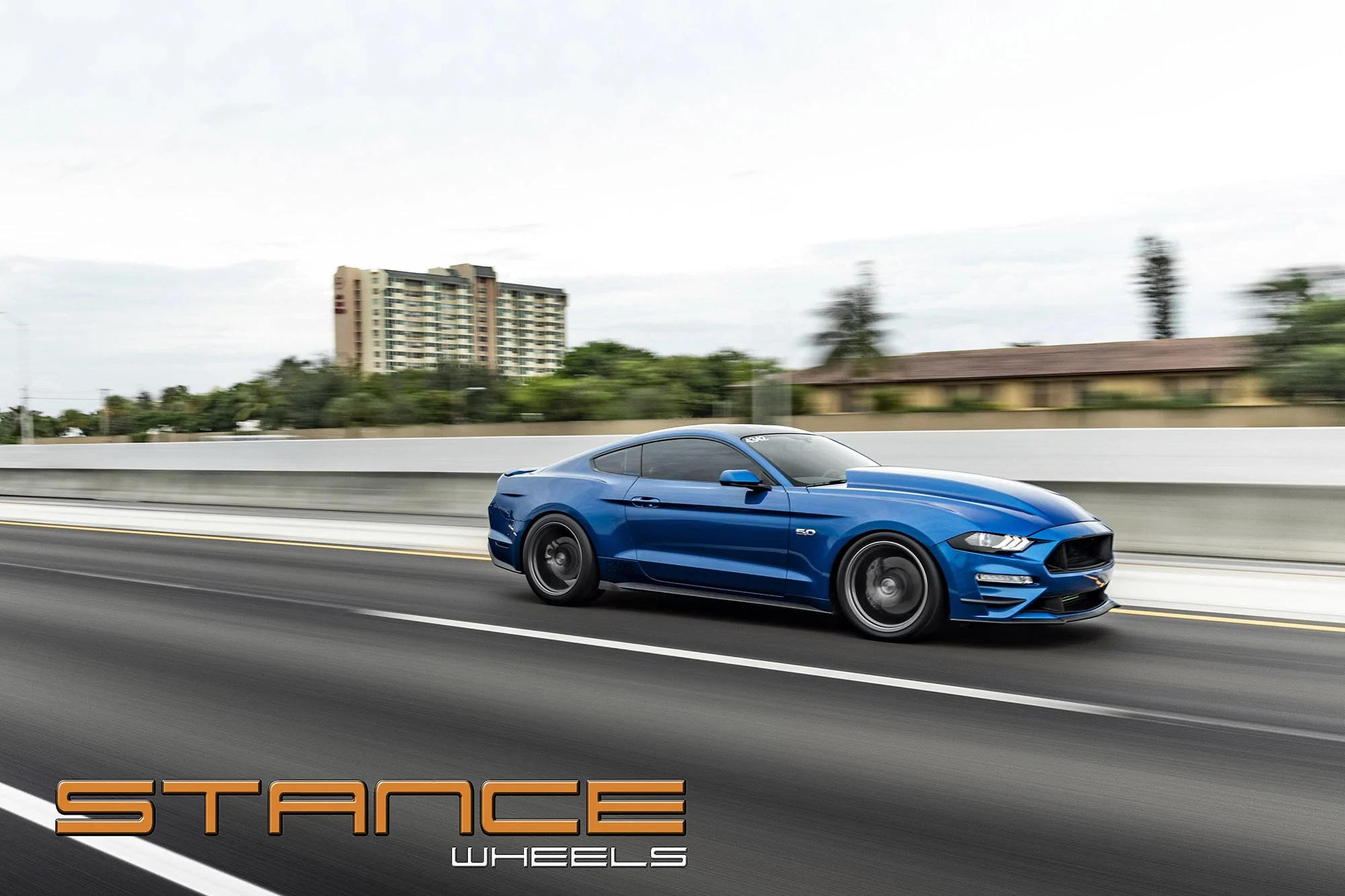 stance forum 4.jpg