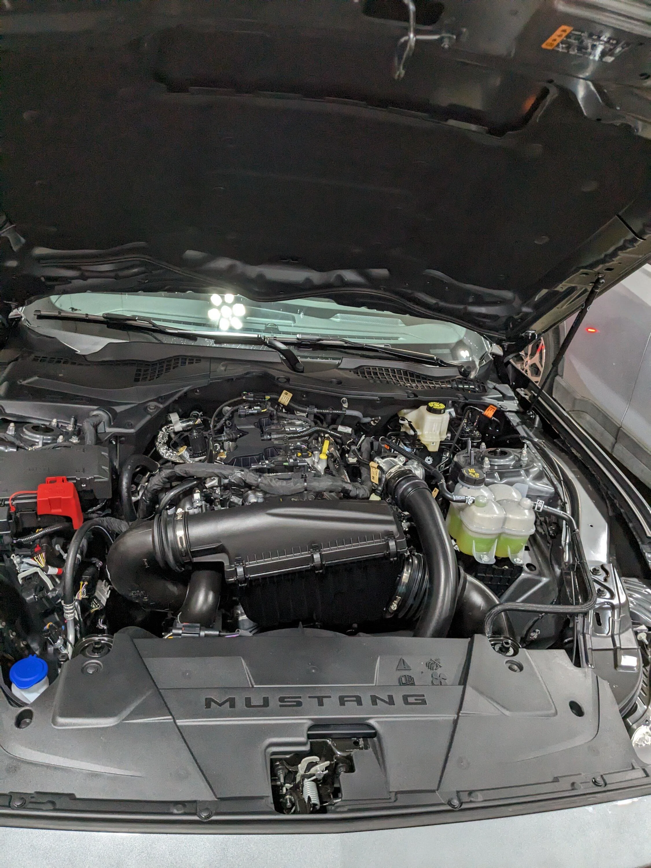 S650 Mustang DannyJ7's Ecoboost PXL_20230907_221450394