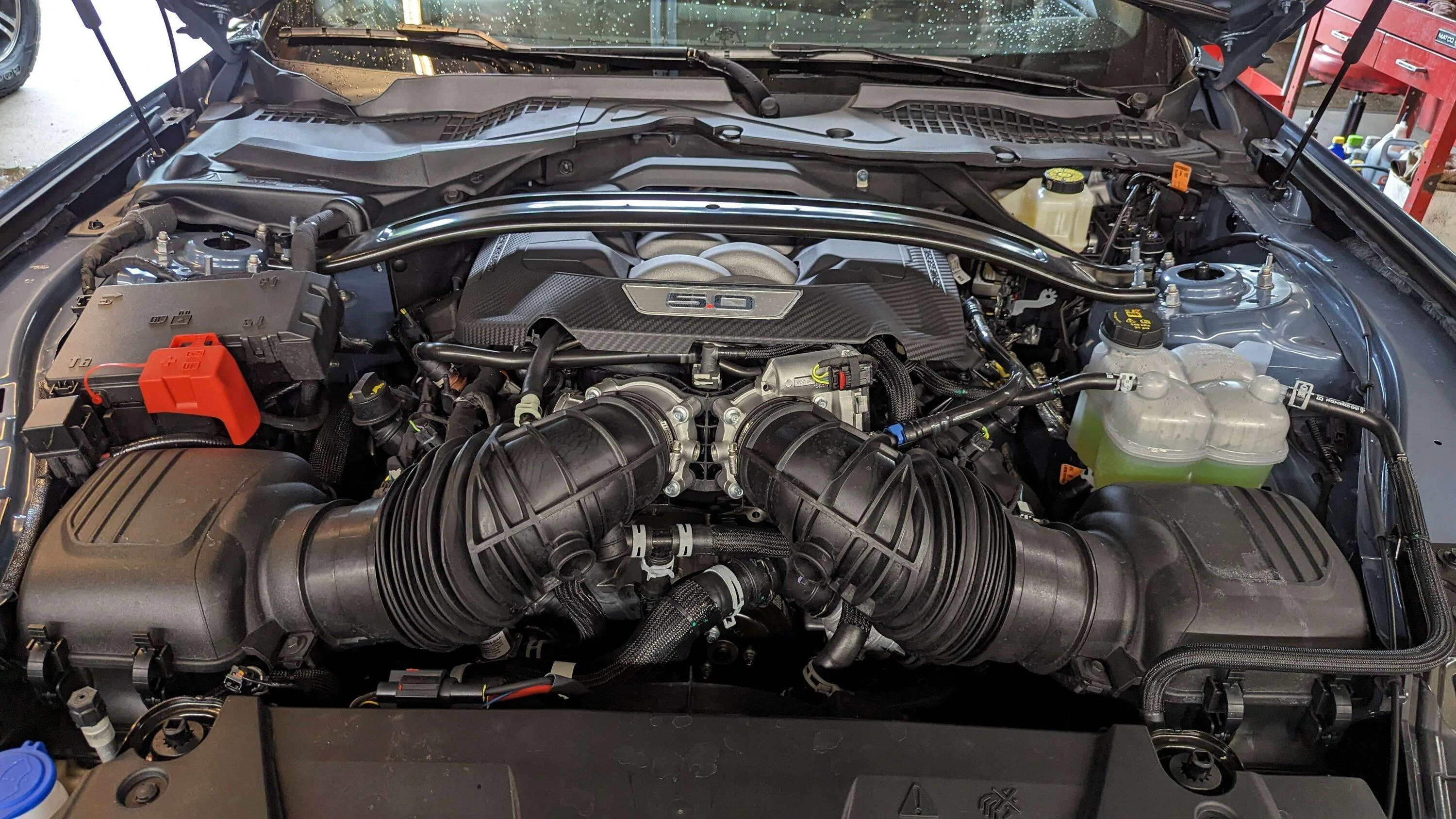 S650 Mustang Official VAPOR BLUE Mustang S650 Thread PXL_20230906_221920654