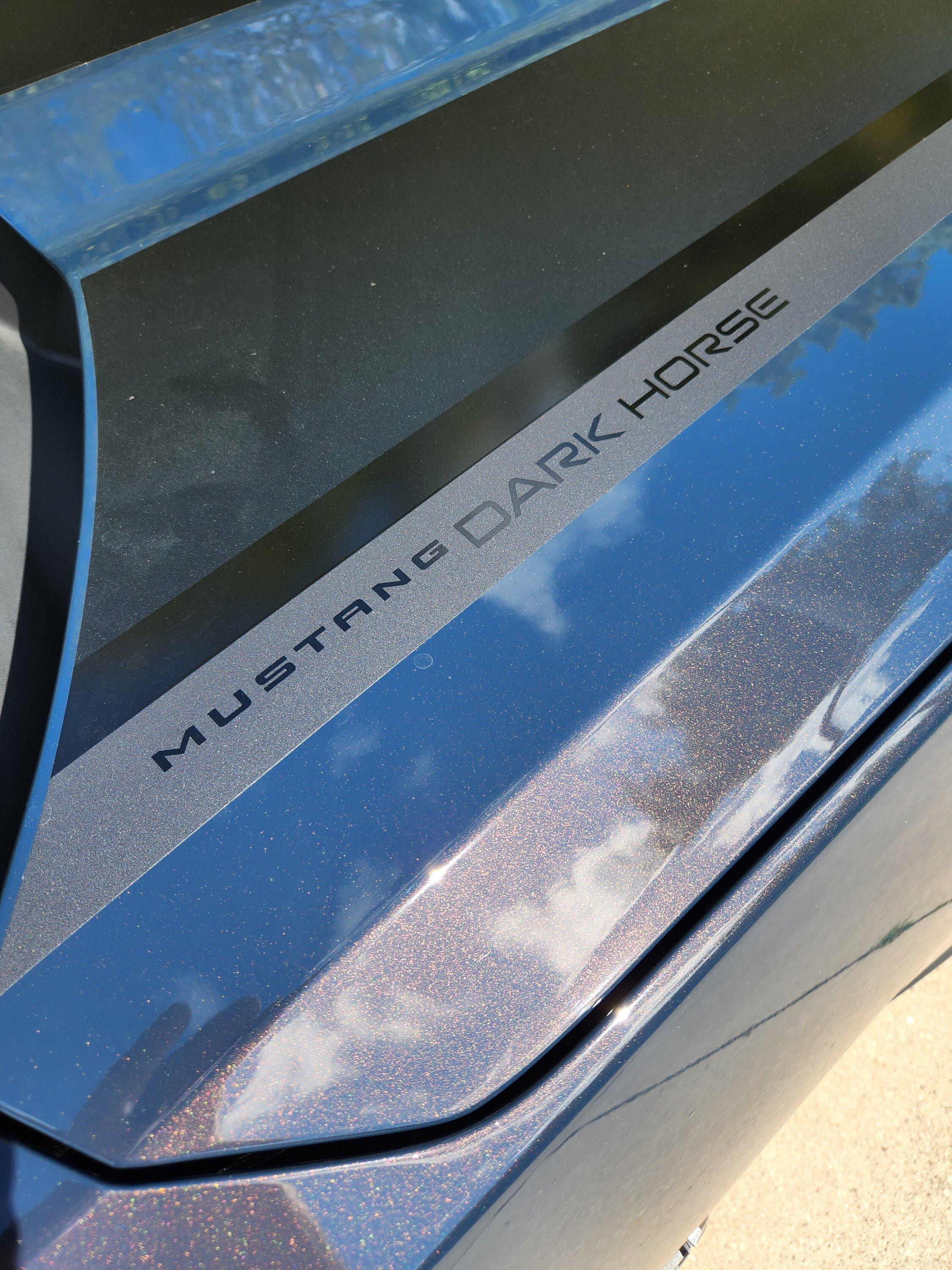 S650 Mustang Official BLUE EMBER Mustang S650 Thread 20230908_143203