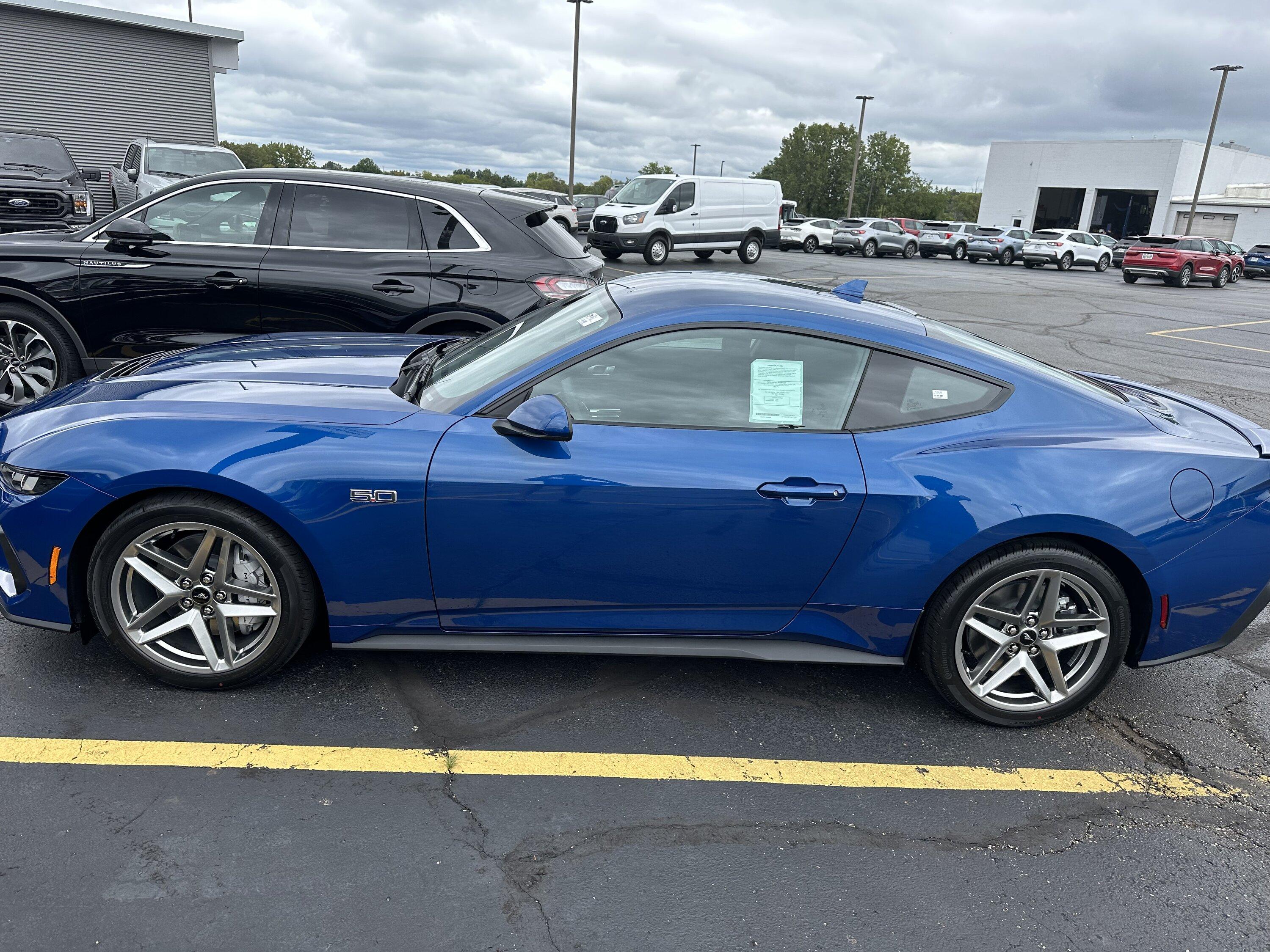 S650 Mustang Official ATLAS BLUE Mustang S650 Thread IMG_1987