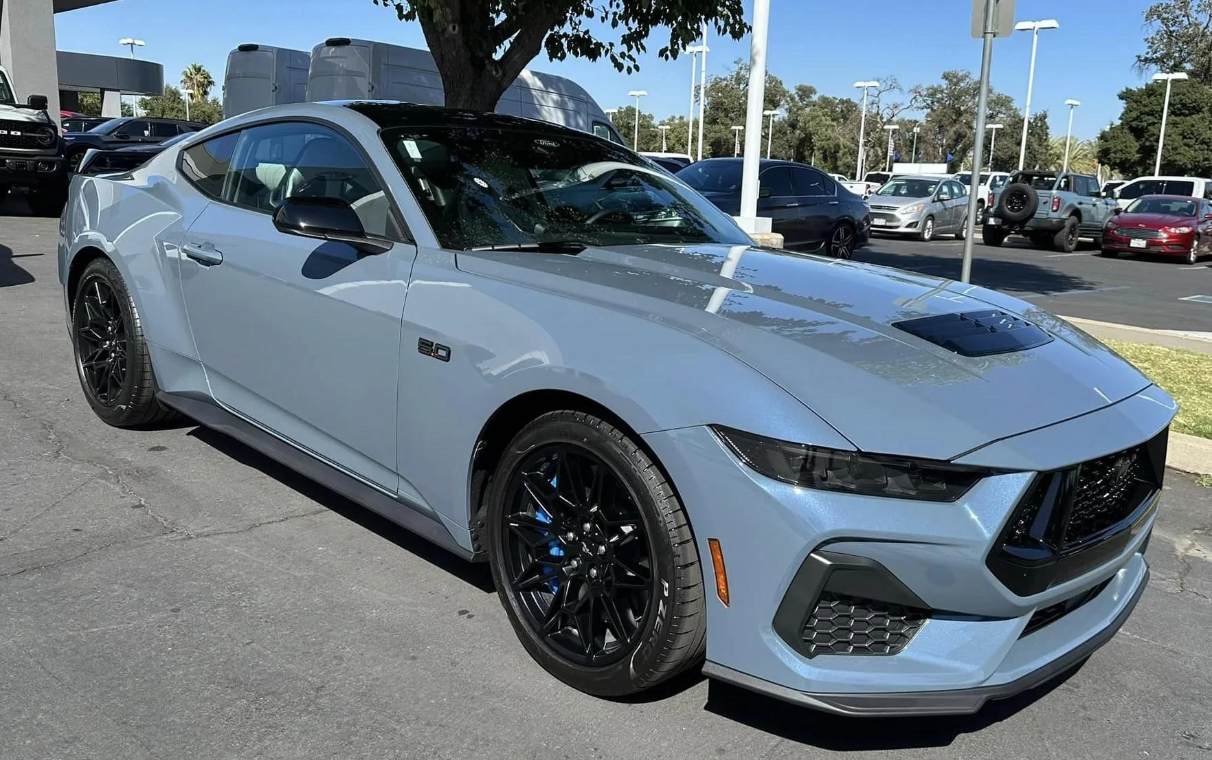 S650 Mustang Official VAPOR BLUE Mustang S650 Thread Vapor Blue 11