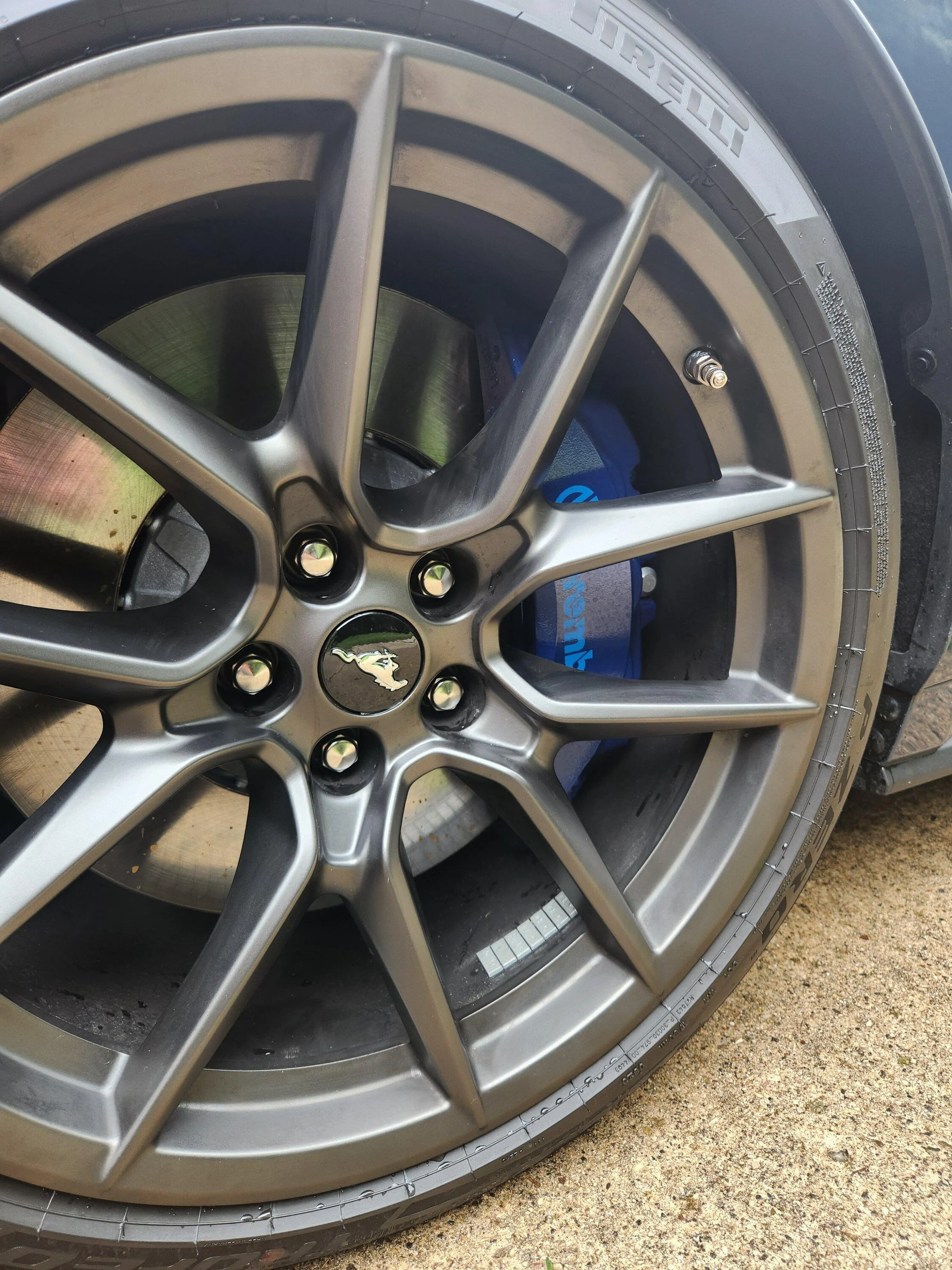 S650 Mustang Delivery Pics & Video: Pyroguy's Blue Ember Dark Horse, HP 20230910_115257