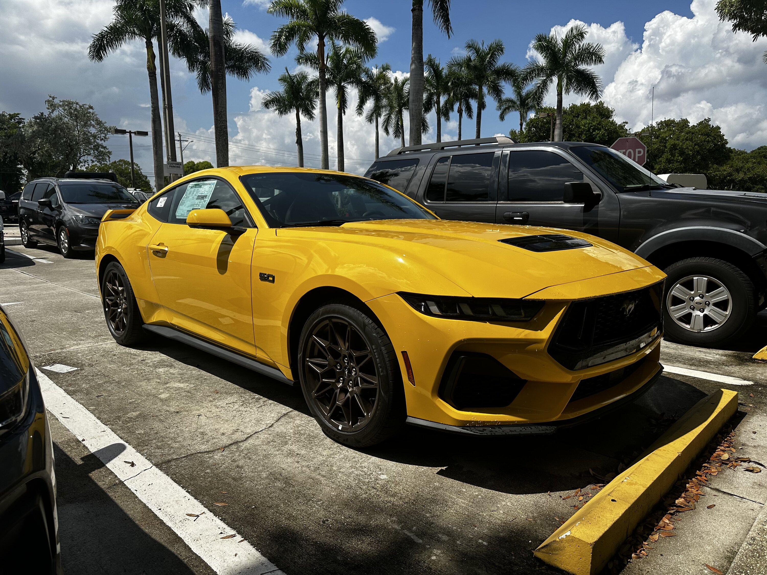 S650 Mustang Picking up 2024 GT fully loaded Water damaged IMG_0722