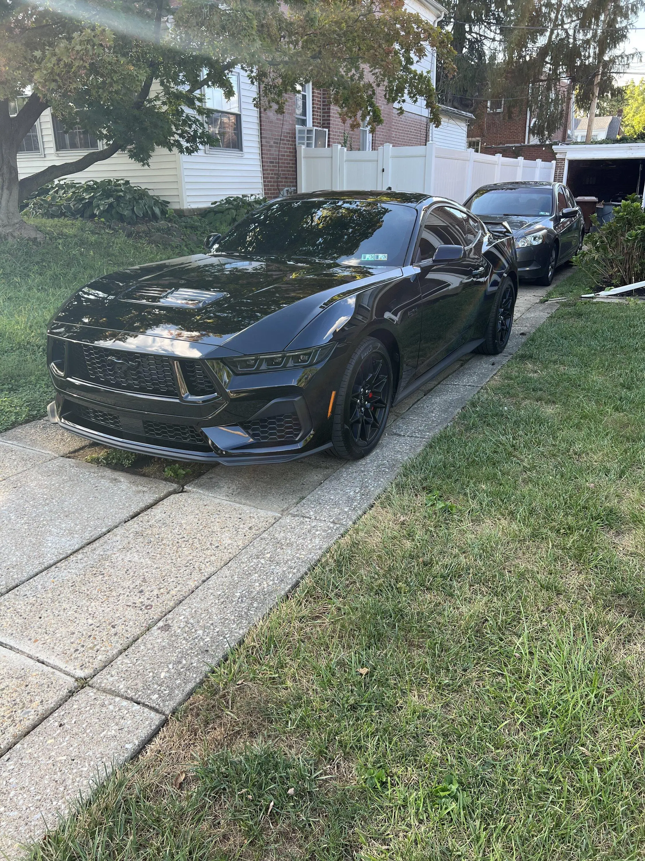 S650 Mustang She’s Finally Here IMG_7332