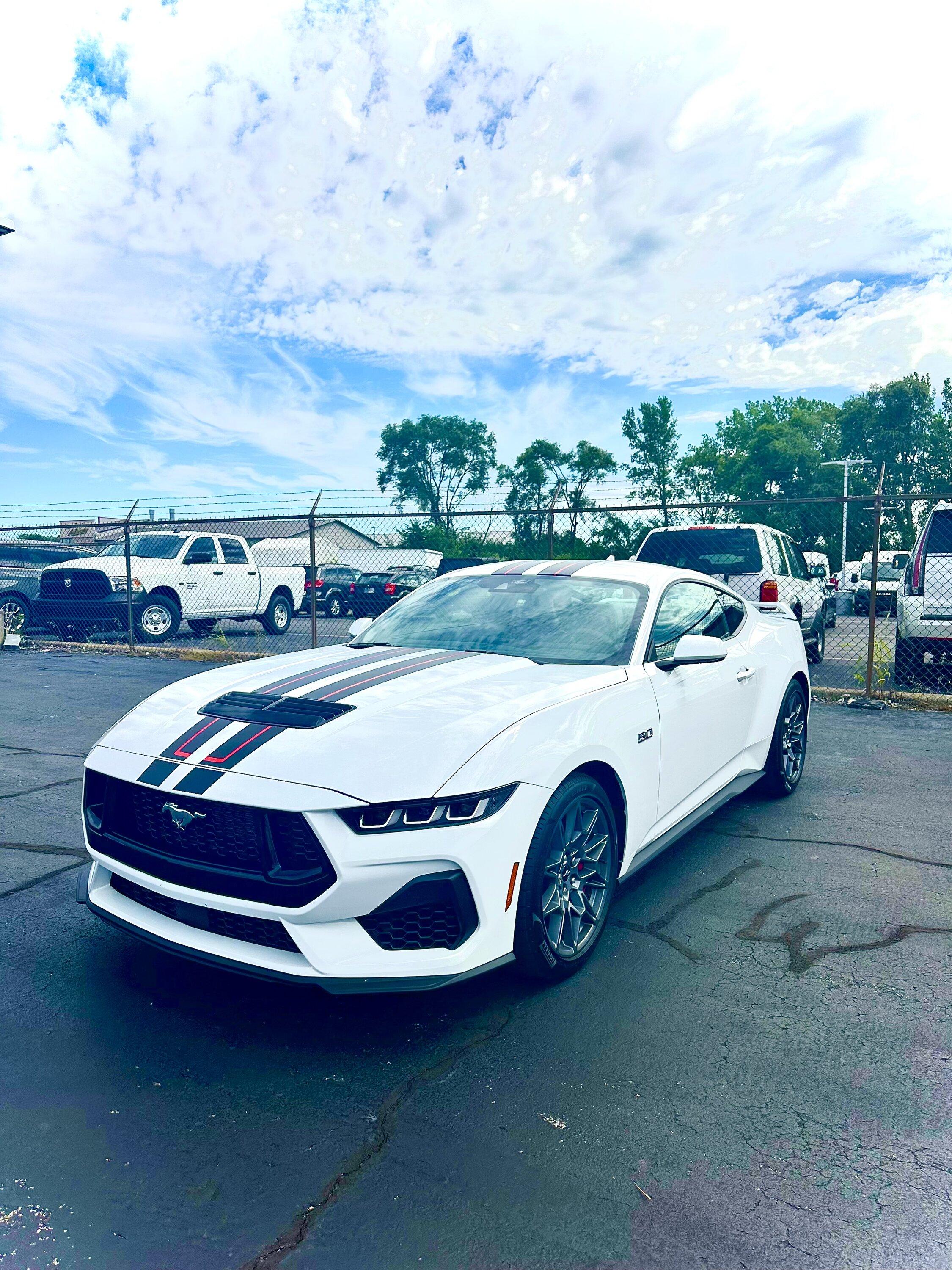 S650 Mustang S650 slow......what's the truth??? IMG_7755