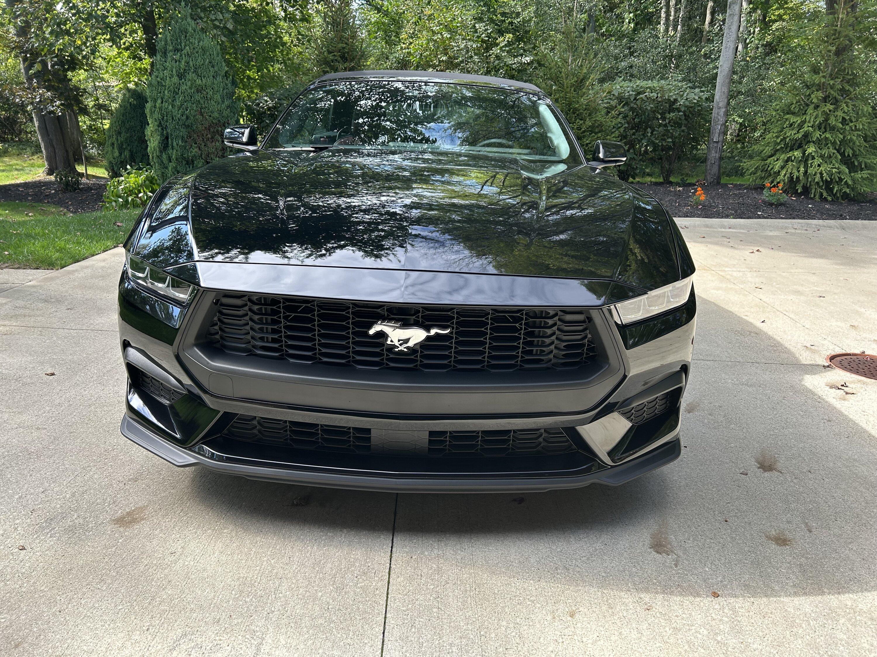 S650 Mustang Official SHADOW BLACK Mustang S650 Thread IMG_6246