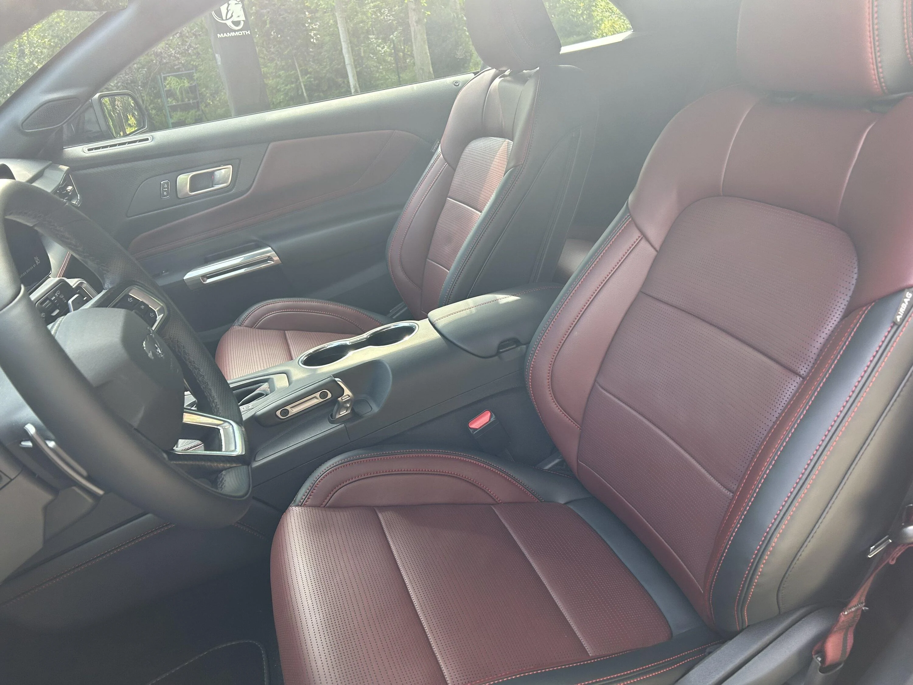 S650 Mustang Official SHADOW BLACK Mustang S650 Thread IMG_6248
