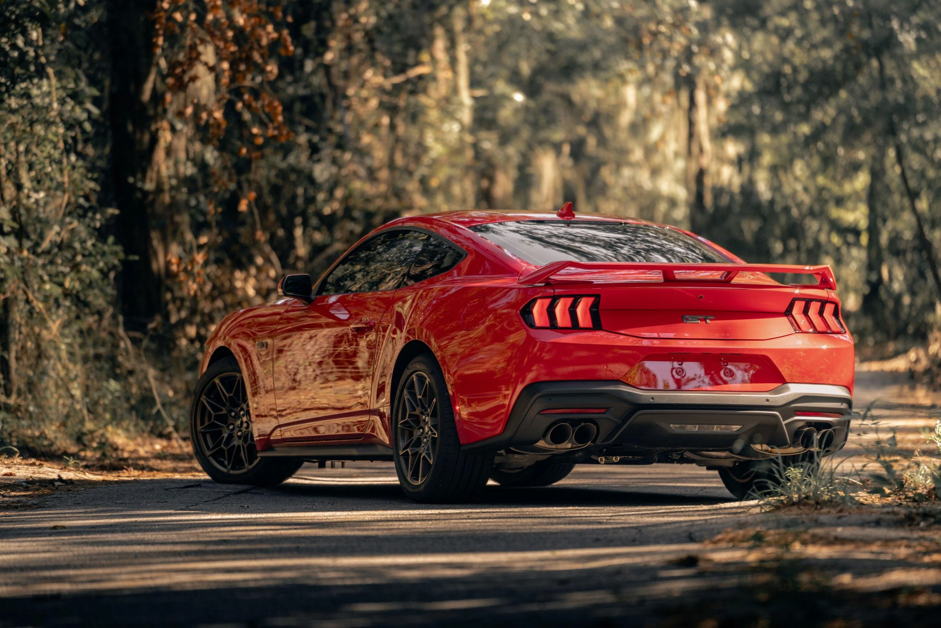S650 Mustang krisk - Race Red GT UPDATE: Delivered DSC09122