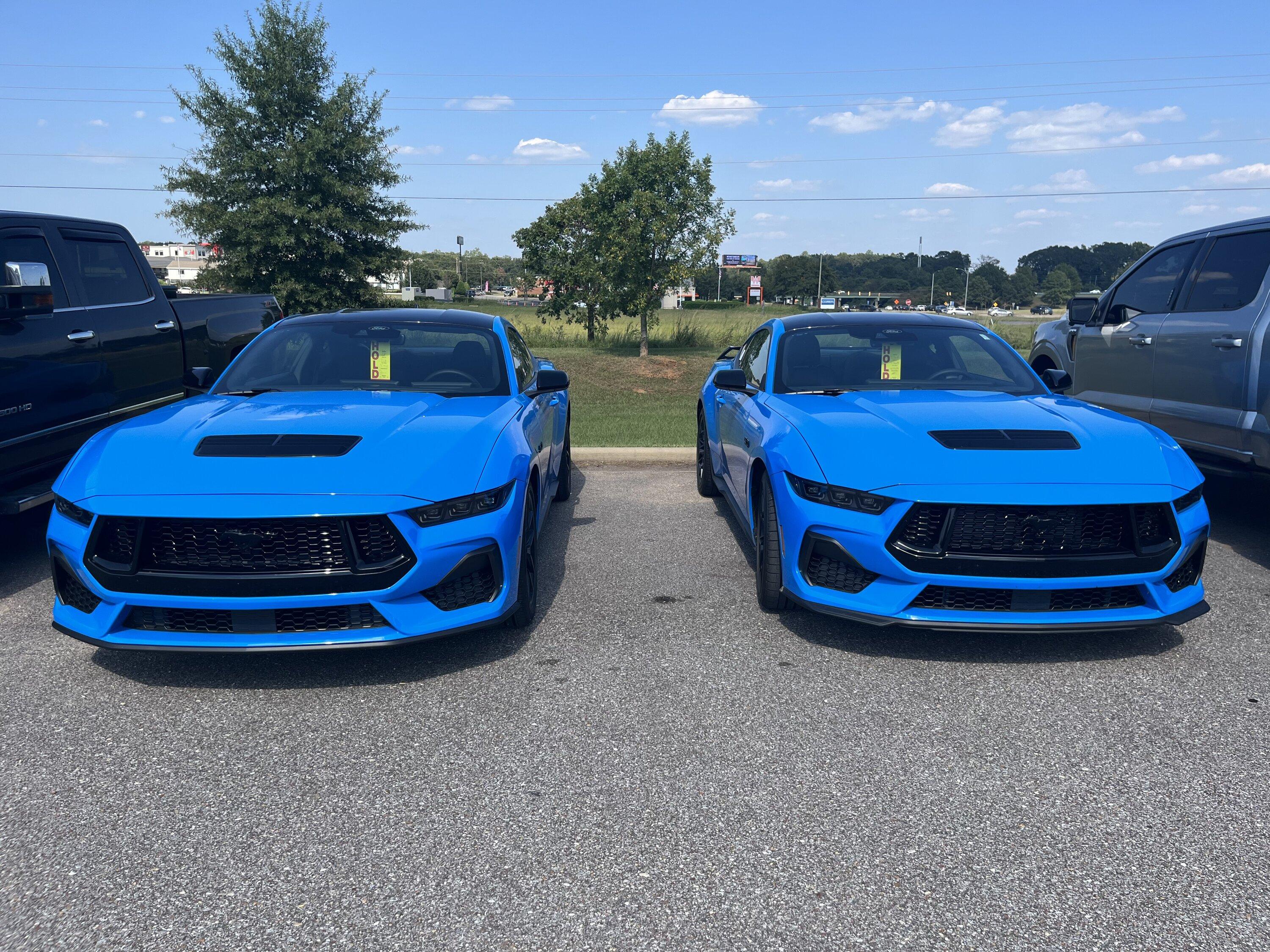 S650 Mustang Official GRABBER BLUE Mustang S650 Thread IMG_8177