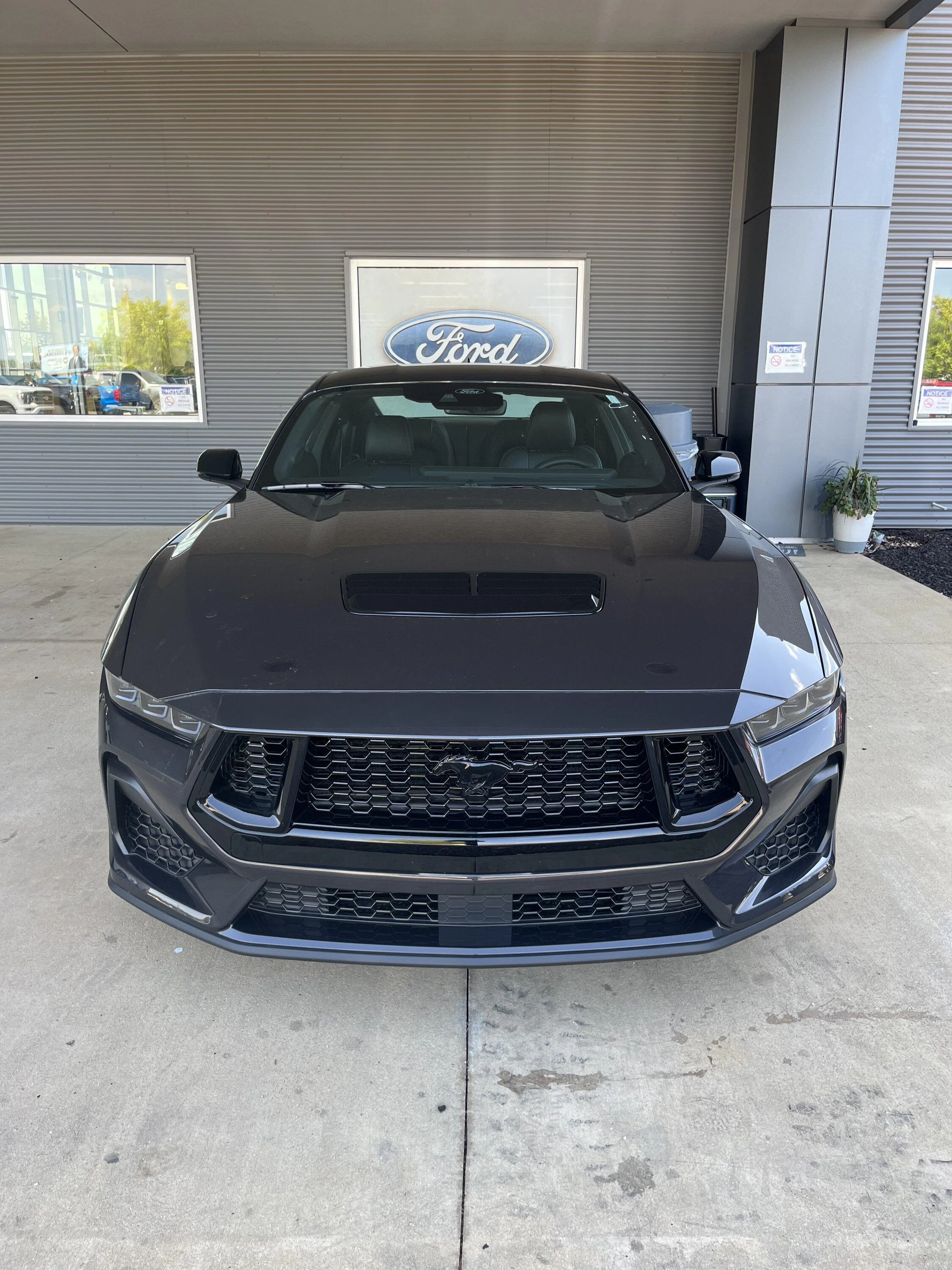 S650 Mustang 10Basscat’s Dark Matter Gray GT IMG_8172