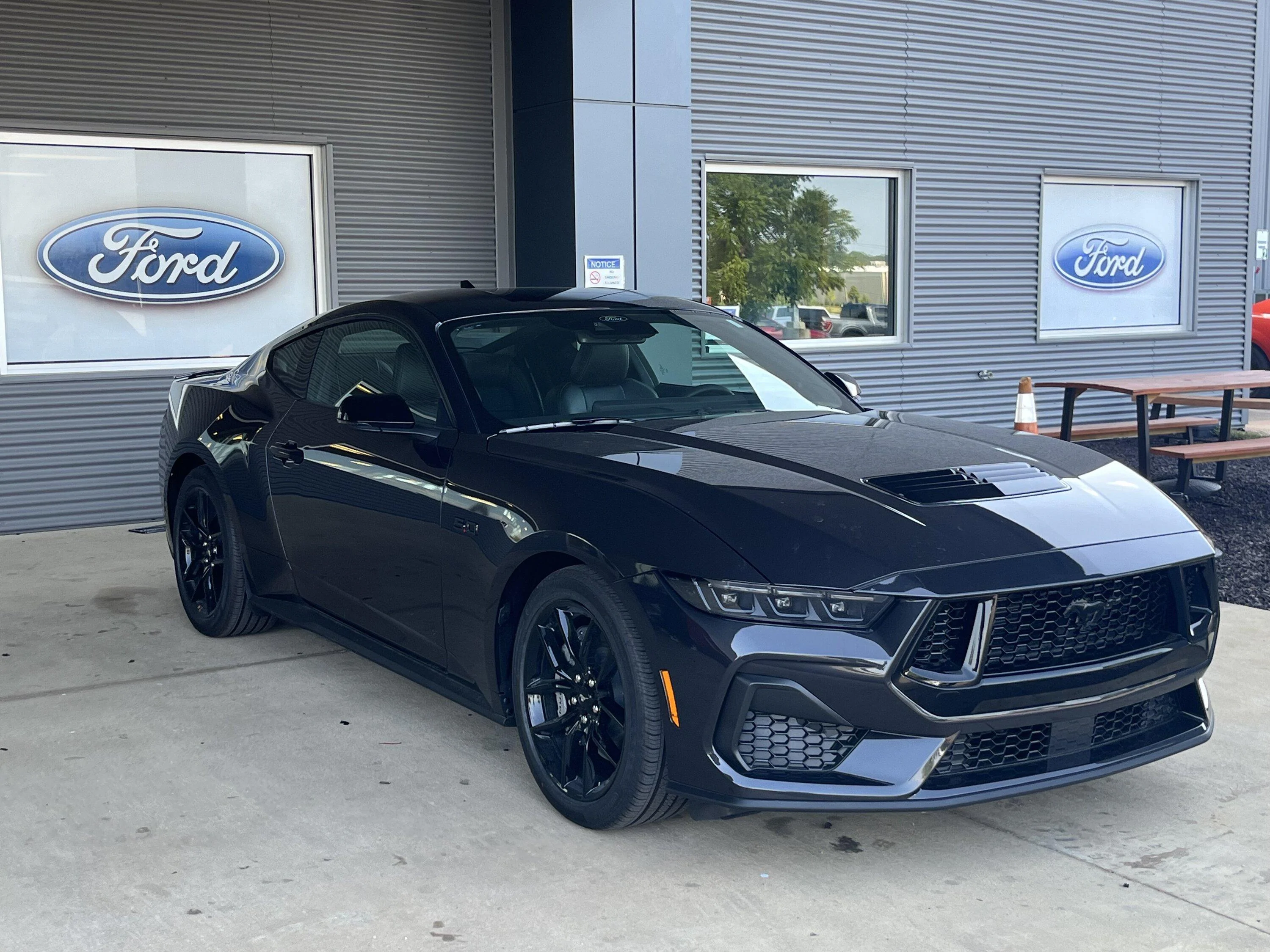 S650 Mustang 10Basscat’s Dark Matter Gray GT IMG_8178