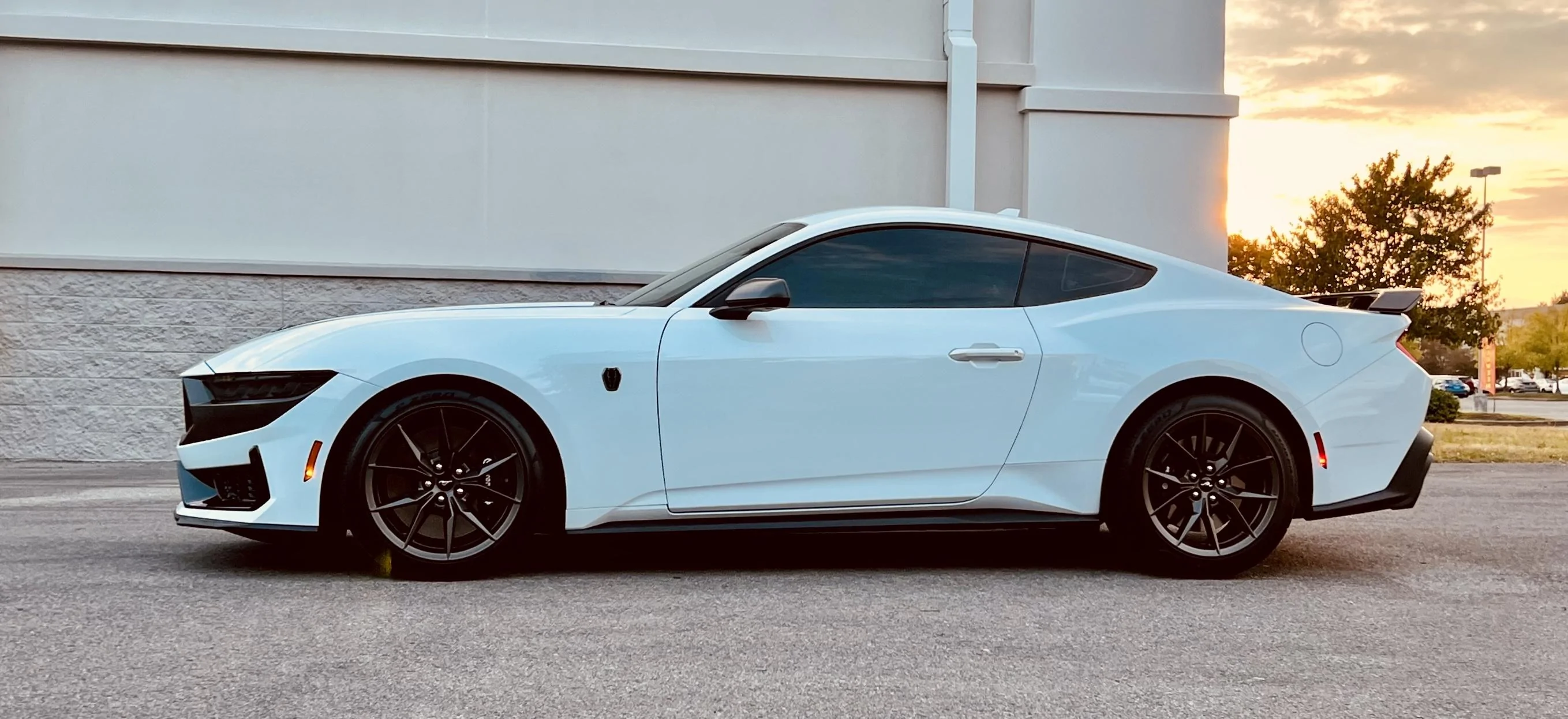 S650 Mustang Official OXFORD WHITE Mustang S650 Thread IMG_6658