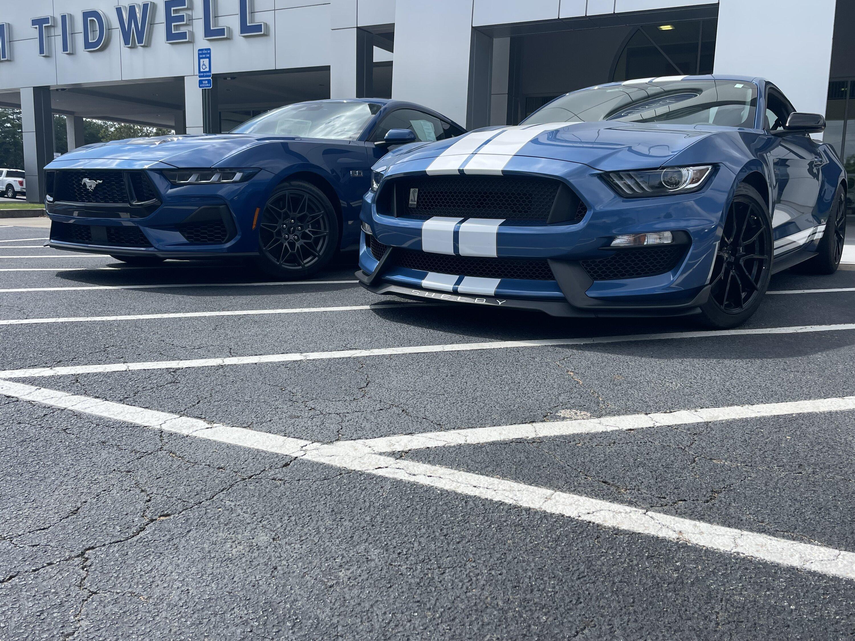 S650 Mustang Official ATLAS BLUE Mustang S650 Thread IMG_9845.JPG