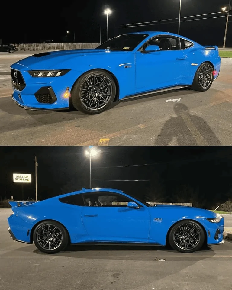 S650 Mustang Steeda Lowered - Sport / Minimum / Dual Rate Springs! 1695687824990