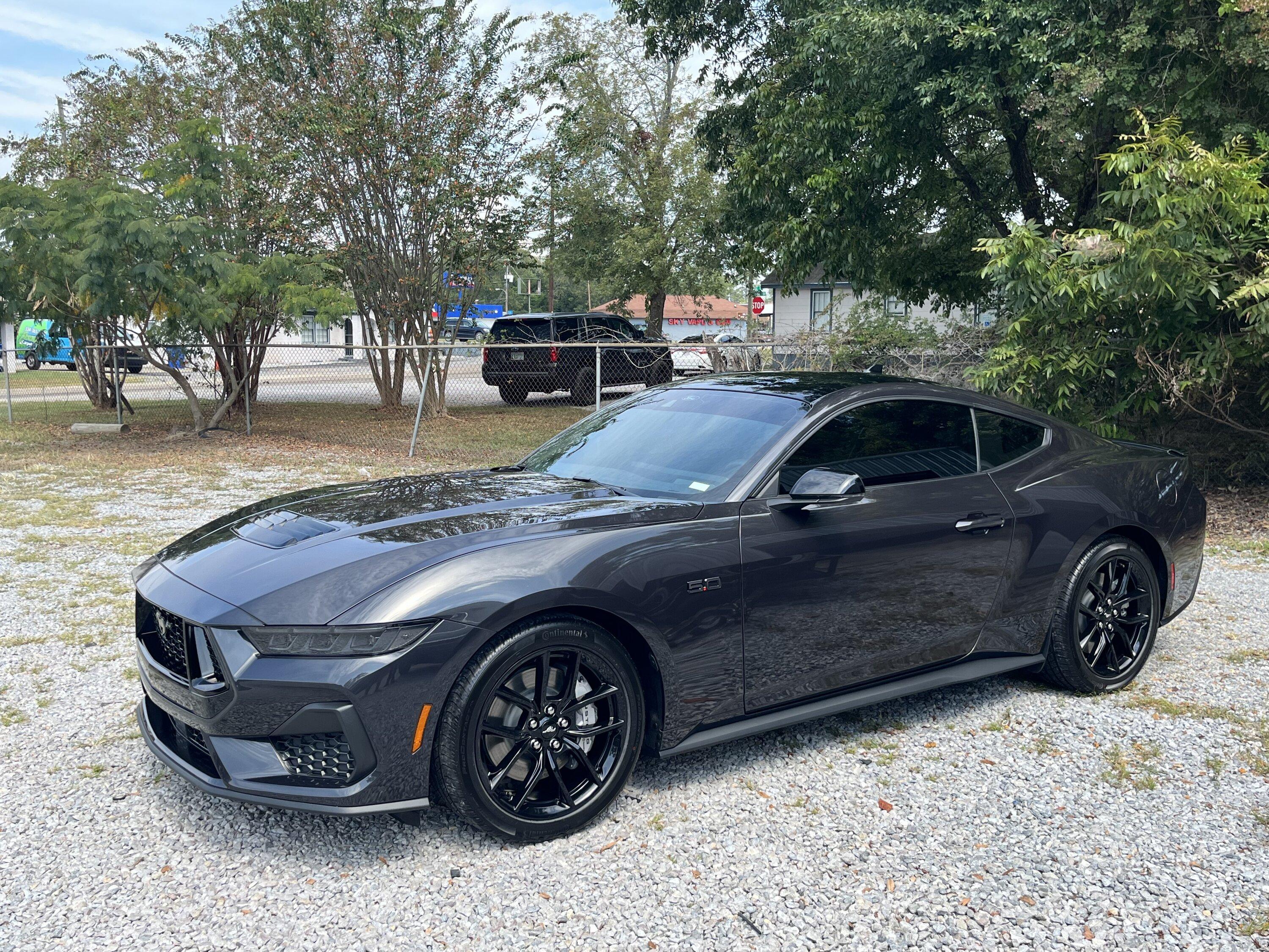 S650 Mustang 10Basscat’s Dark Matter Gray GT IMG_8222