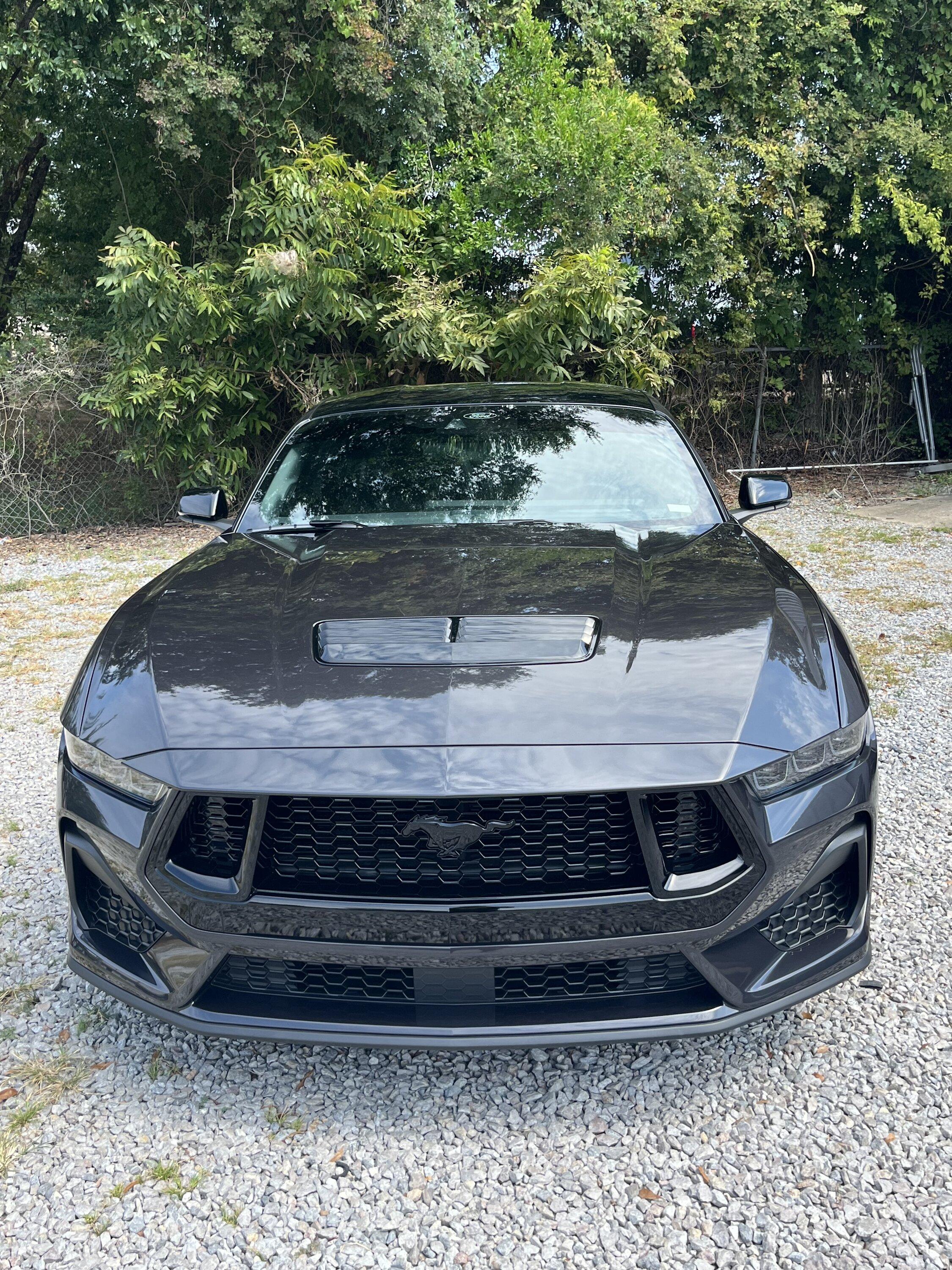 S650 Mustang 10Basscat’s Dark Matter Gray GT IMG_8223