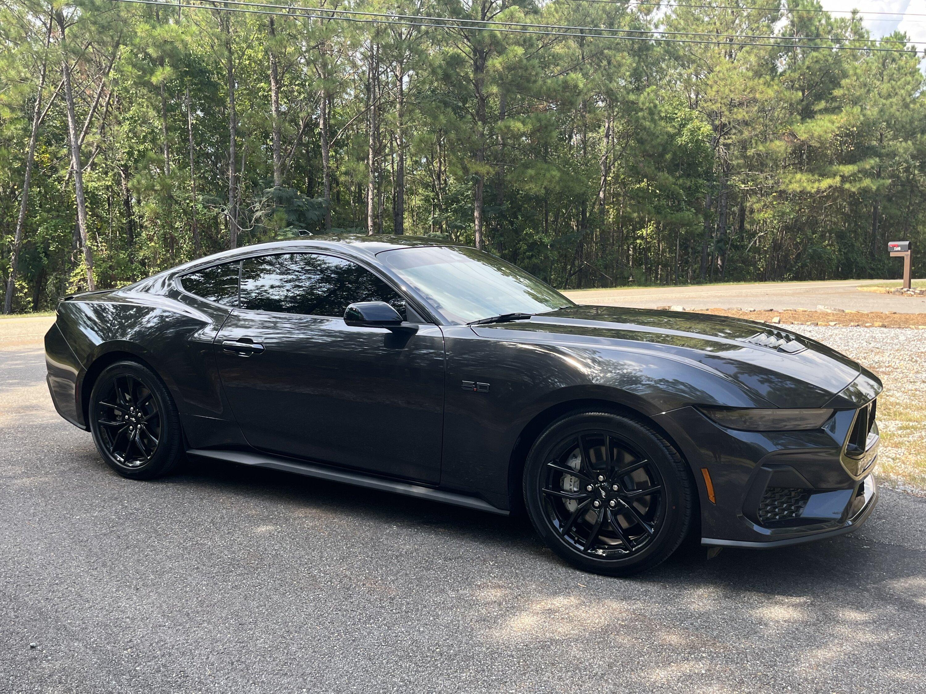 S650 Mustang 10Basscat’s Dark Matter Gray GT IMG_8230