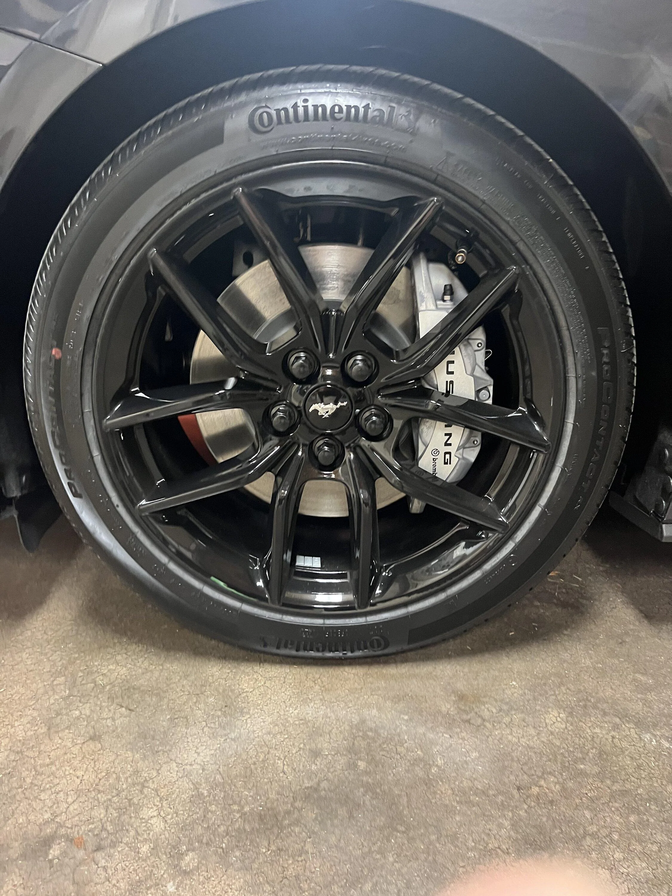 S650 Mustang 10Basscat’s Dark Matter Gray GT IMG_8237