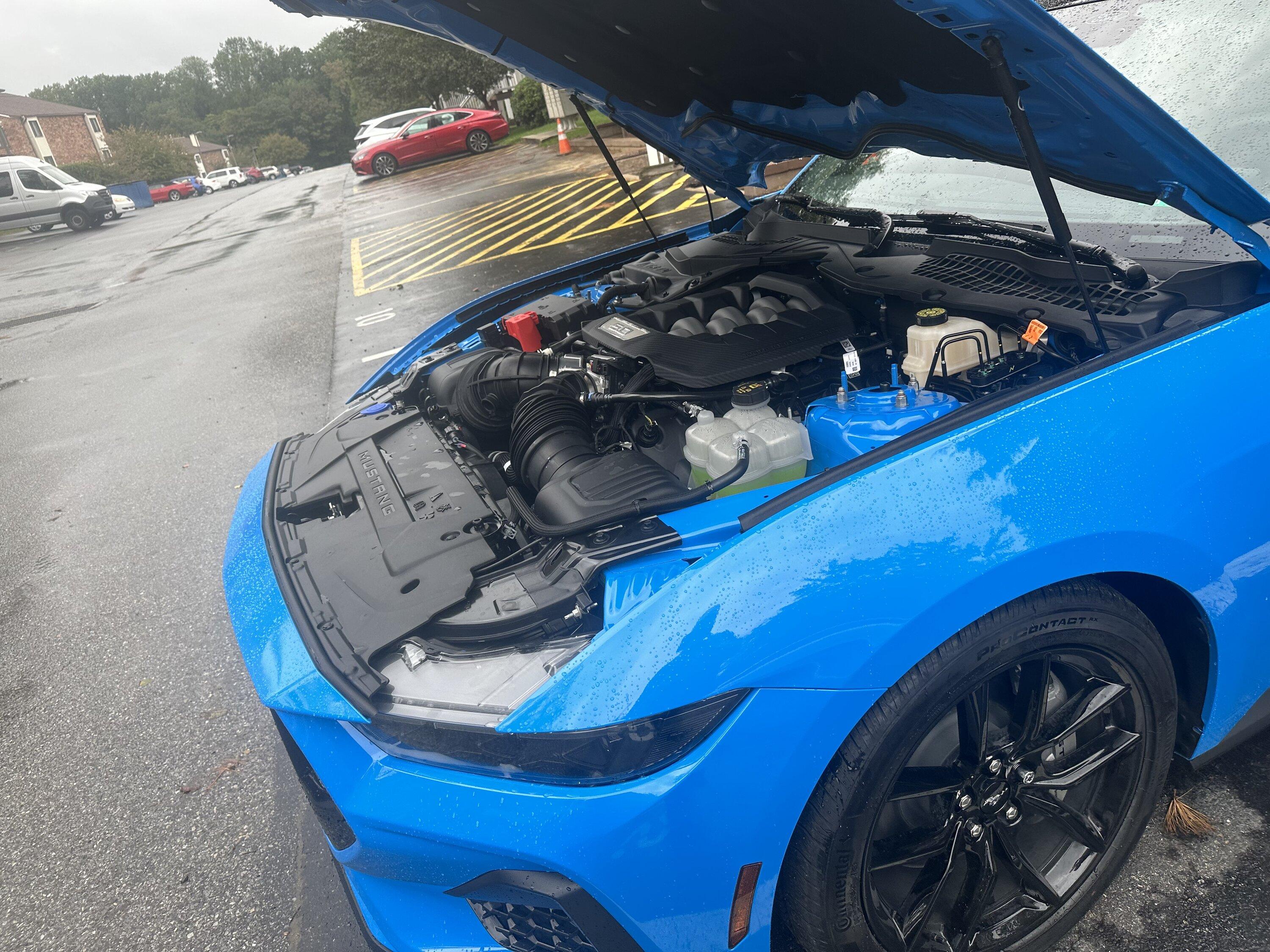 S650 Mustang Just took delivery of my Mustang GT premium IMG_7784