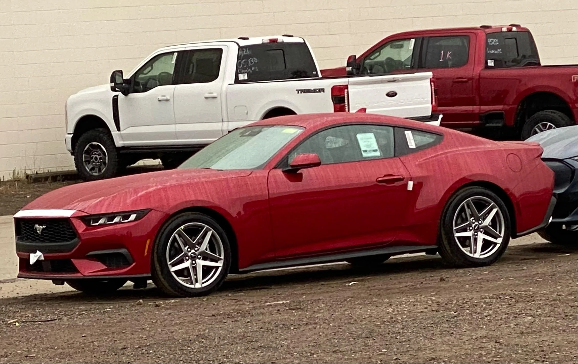 S650 Mustang Official RAPID RED Mustang S650 Thread IMG_1597