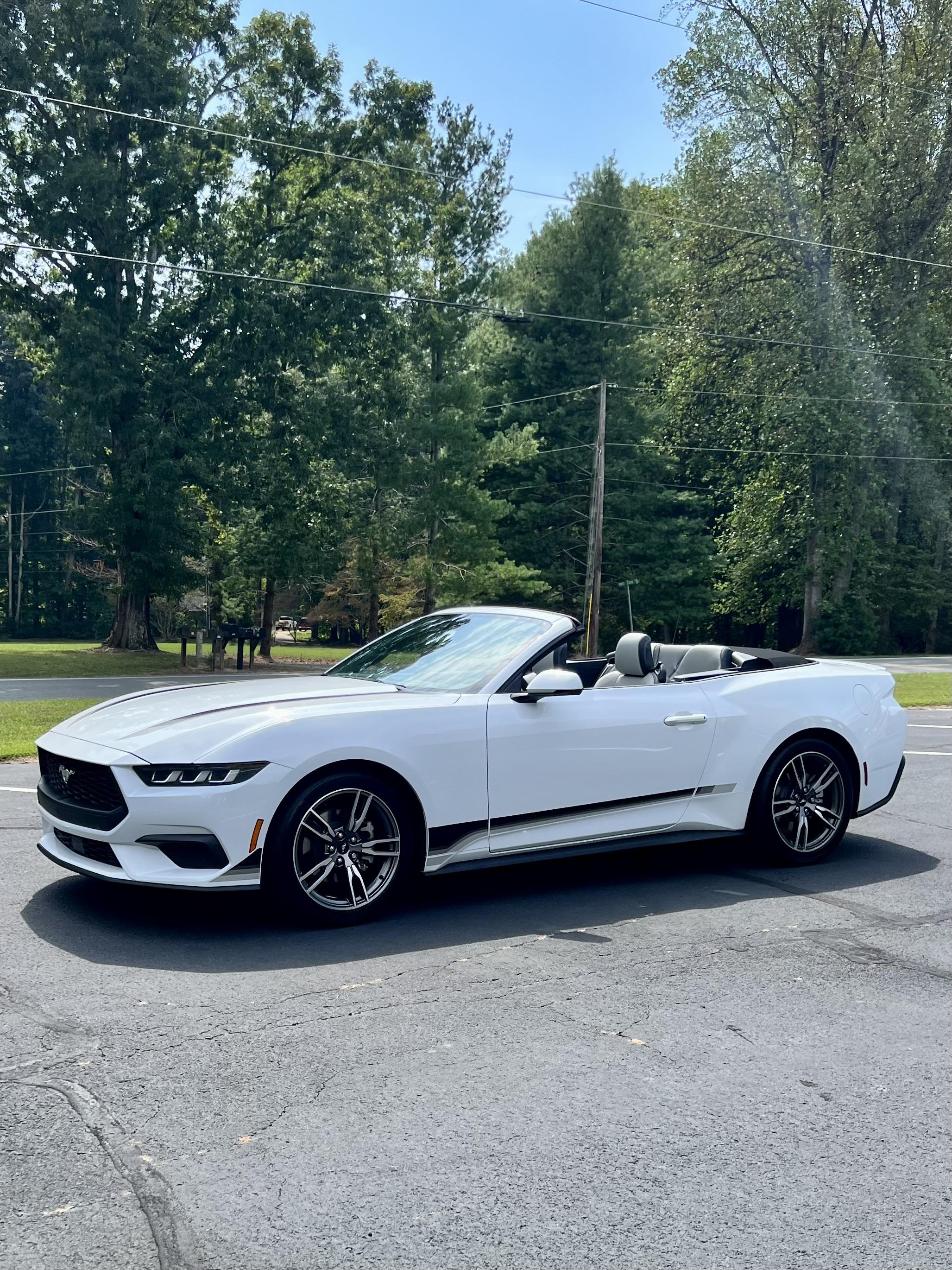 S650 Mustang Official OXFORD WHITE Mustang S650 Thread IMG_2040