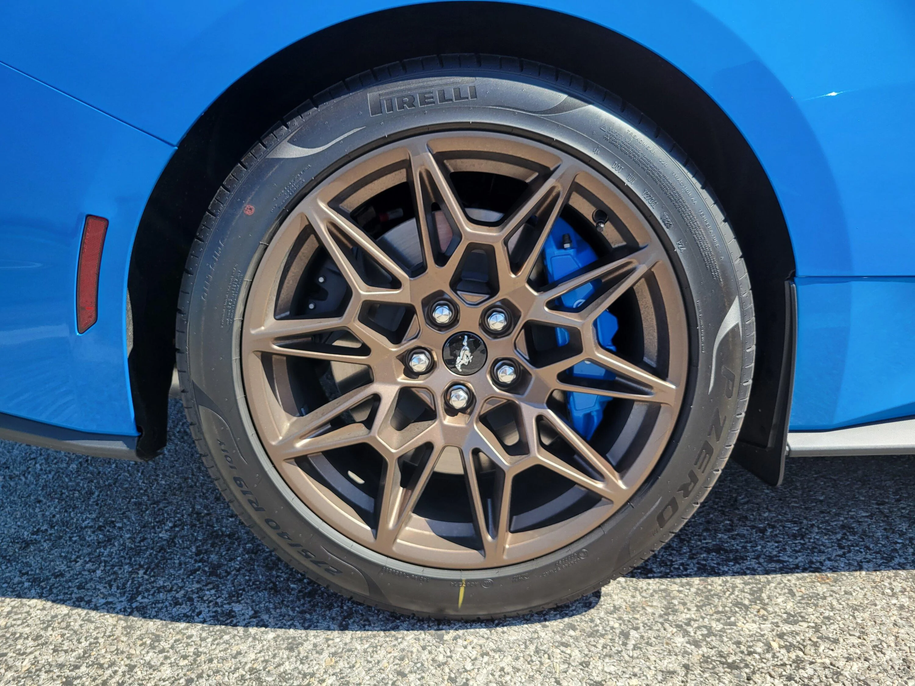S650 Mustang Official GRABBER BLUE Mustang S650 Thread 20230928_122524