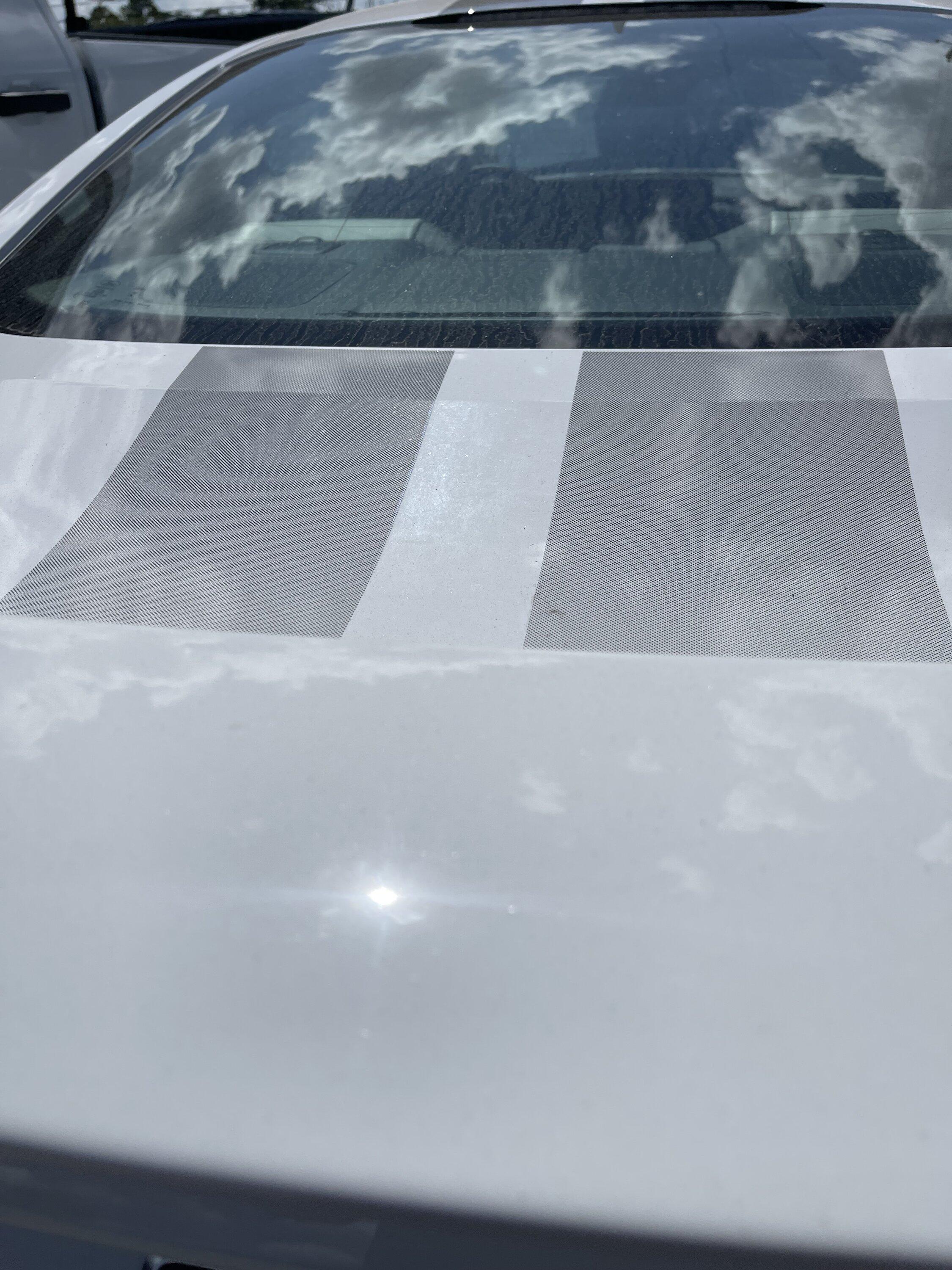 S650 Mustang Opaque factory stripes closeup photos IMG_1778