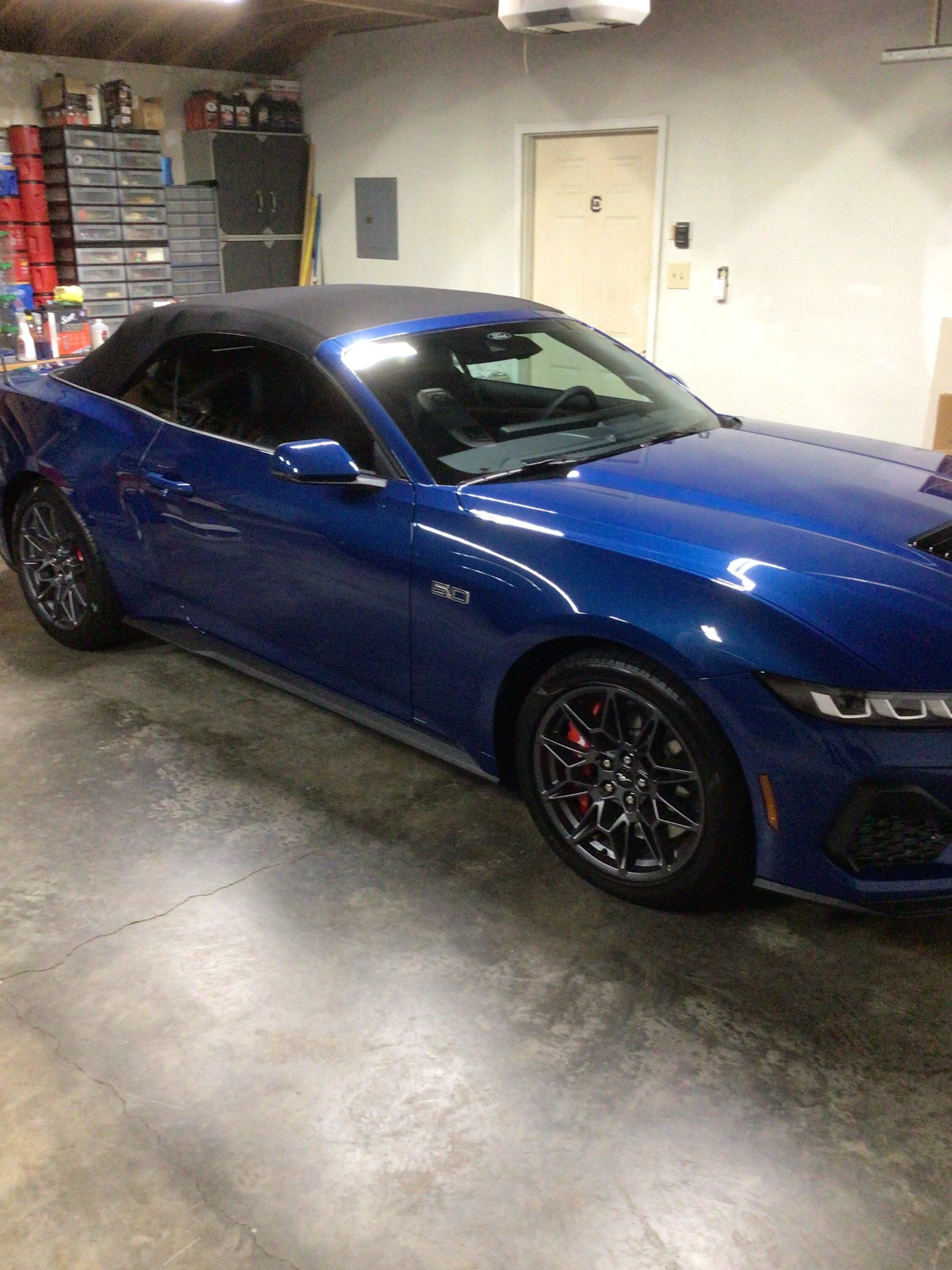 S650 Mustang Official ATLAS BLUE Mustang S650 Thread IMG_5204