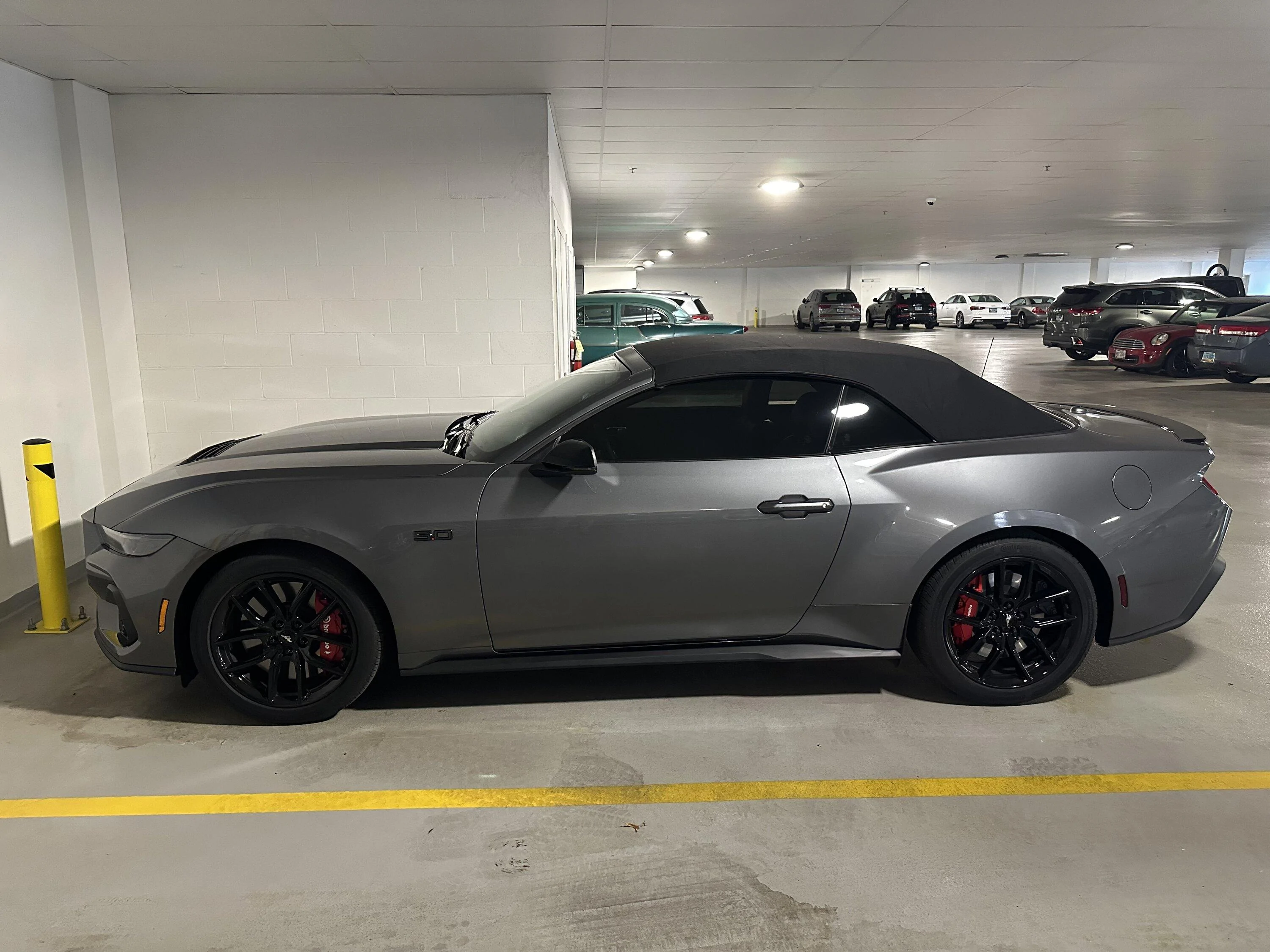 S650 Mustang Official CARBONIZED GRAY Mustang S650 Thread IMG_0946