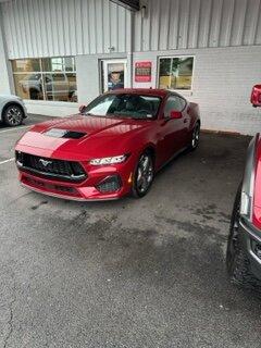 S650 Mustang “People keep asking me if I’m back and I haven’t really had an answer….” image0