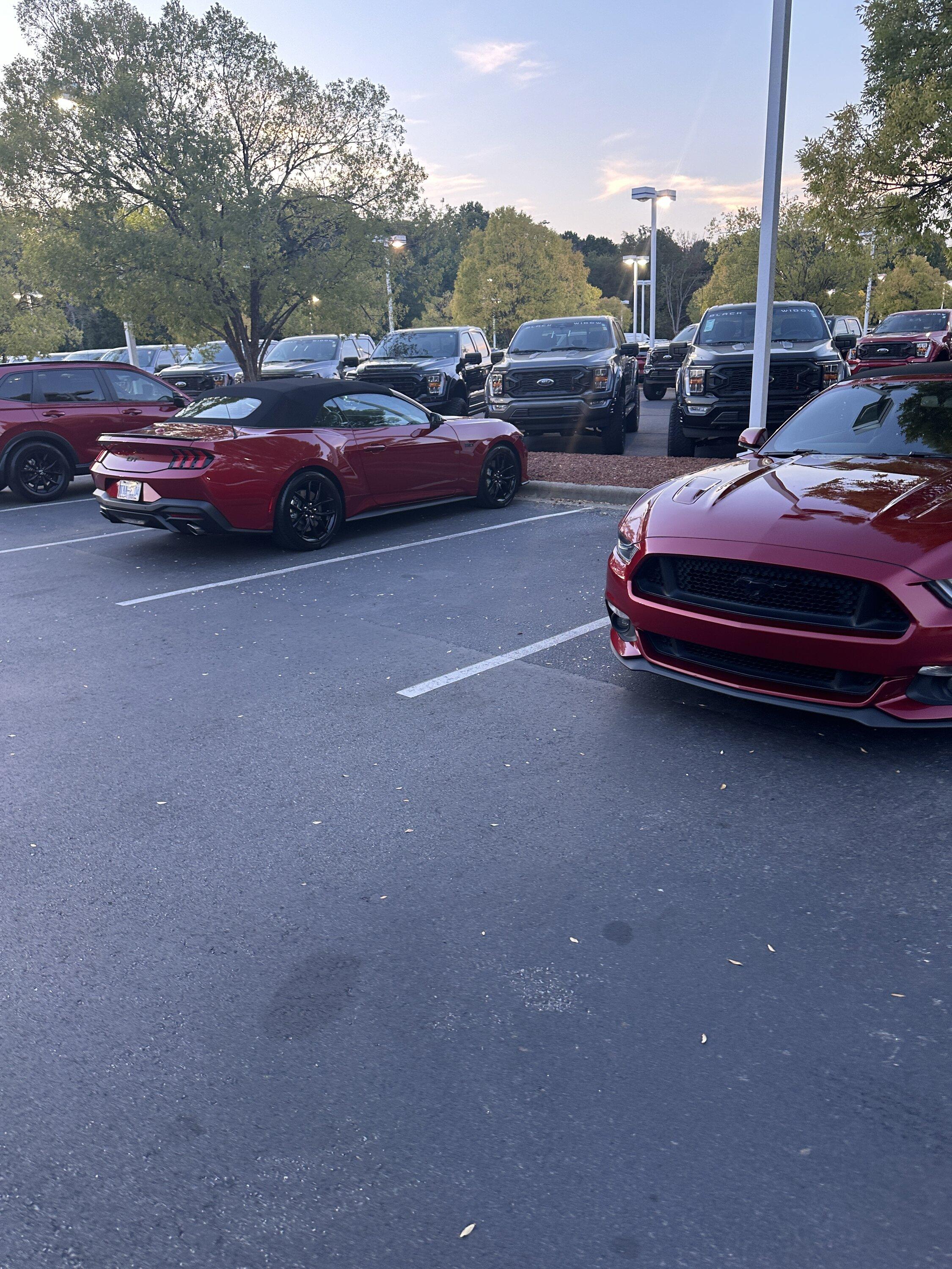 IMG_9709.jpeg