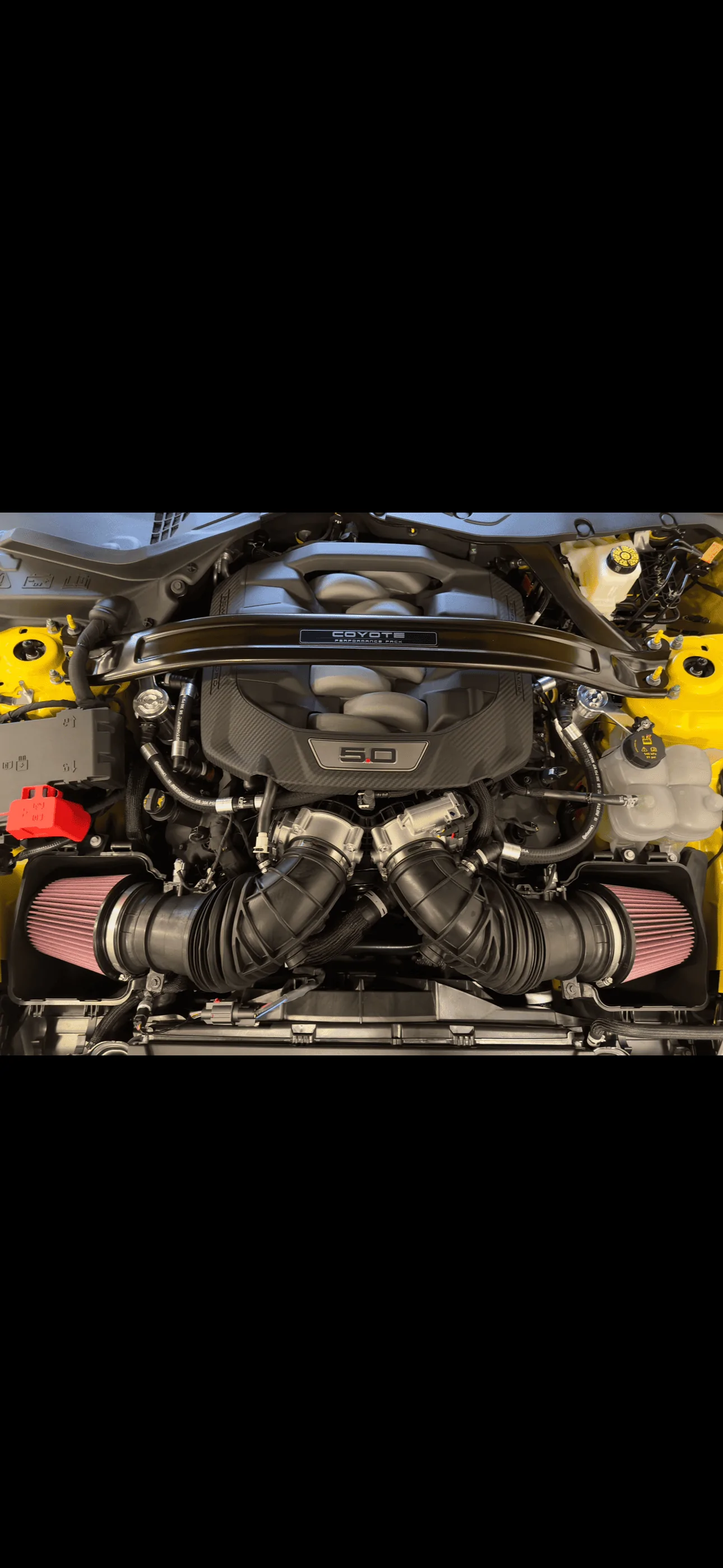 S650 Mustang K&N Filter IMG_1622