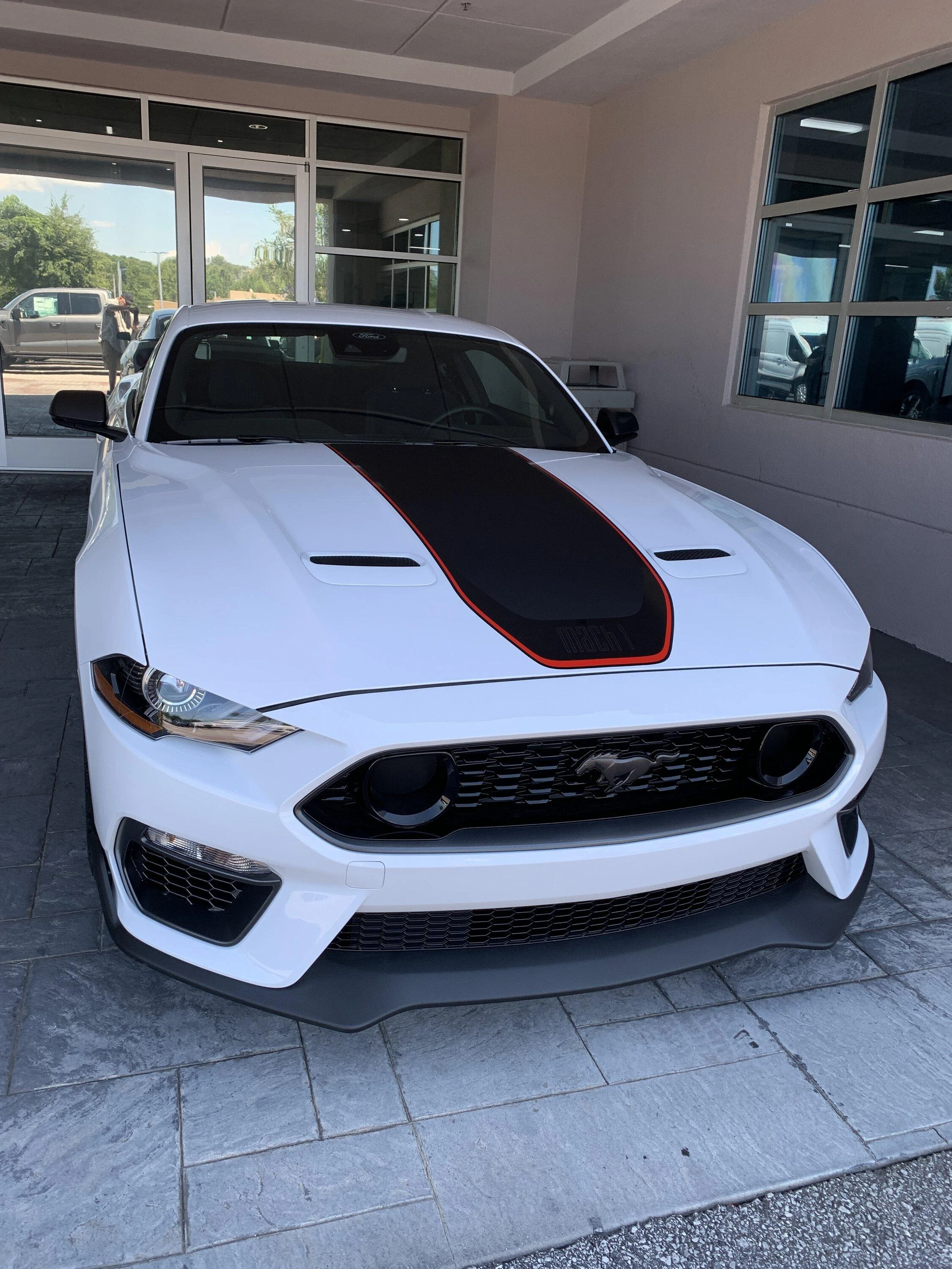 S650 Mustang One big stripe IMG_3521