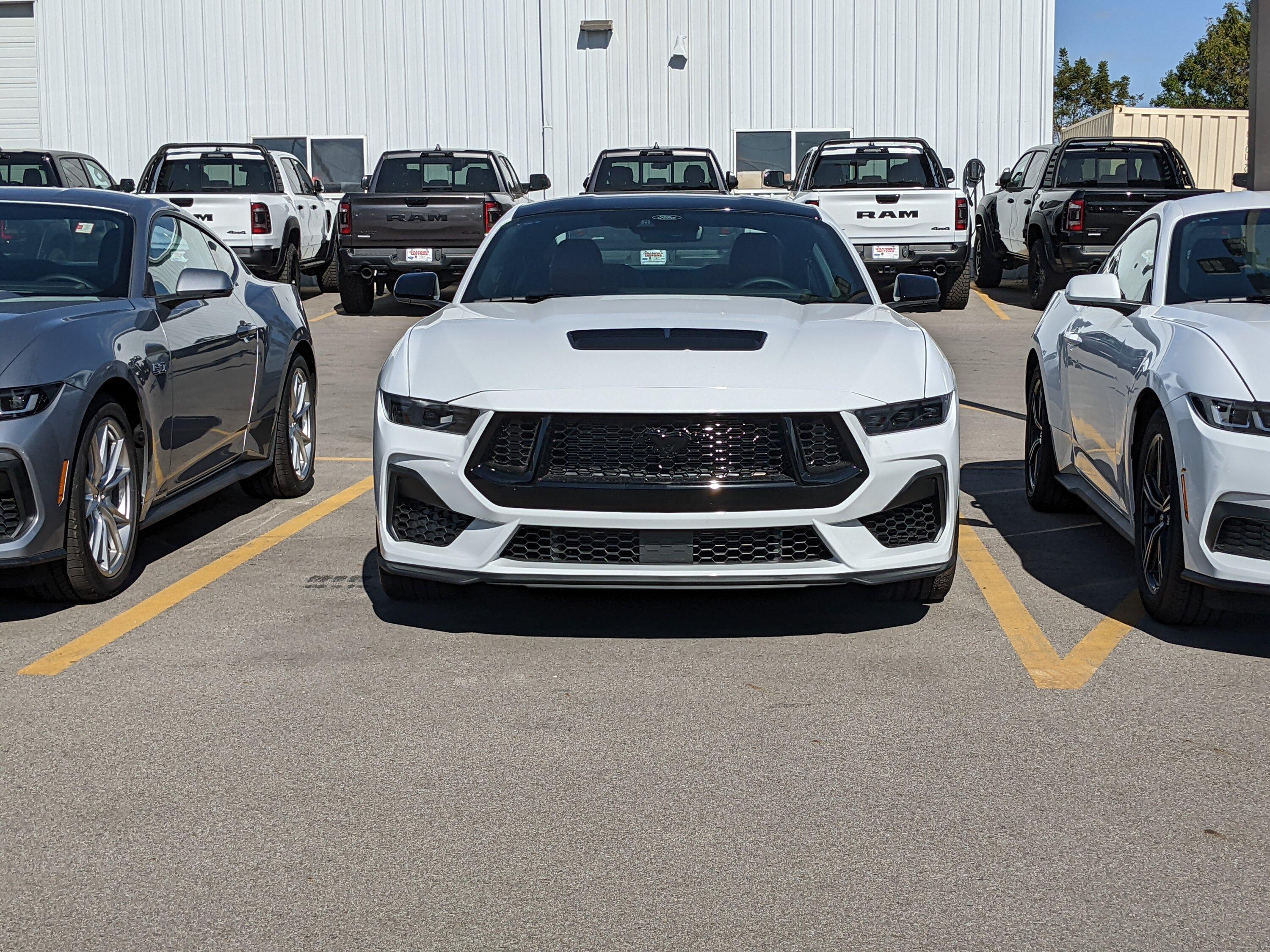 S650 Mustang A Few Mustangs in-stock now! PXL_20231008_193617332