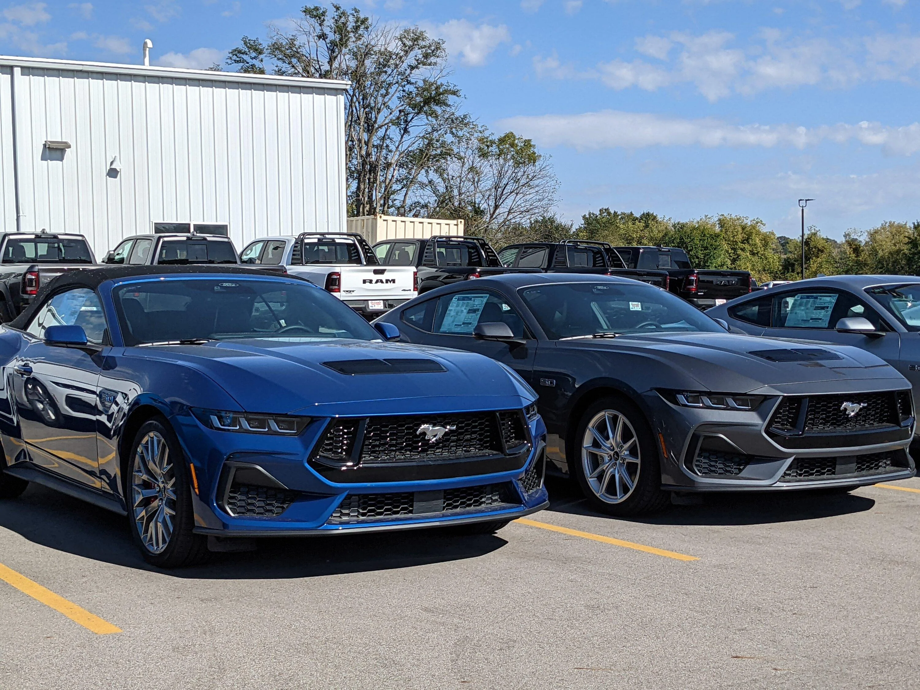 S650 Mustang A Few Mustangs in-stock now! PXL_20231008_193559971