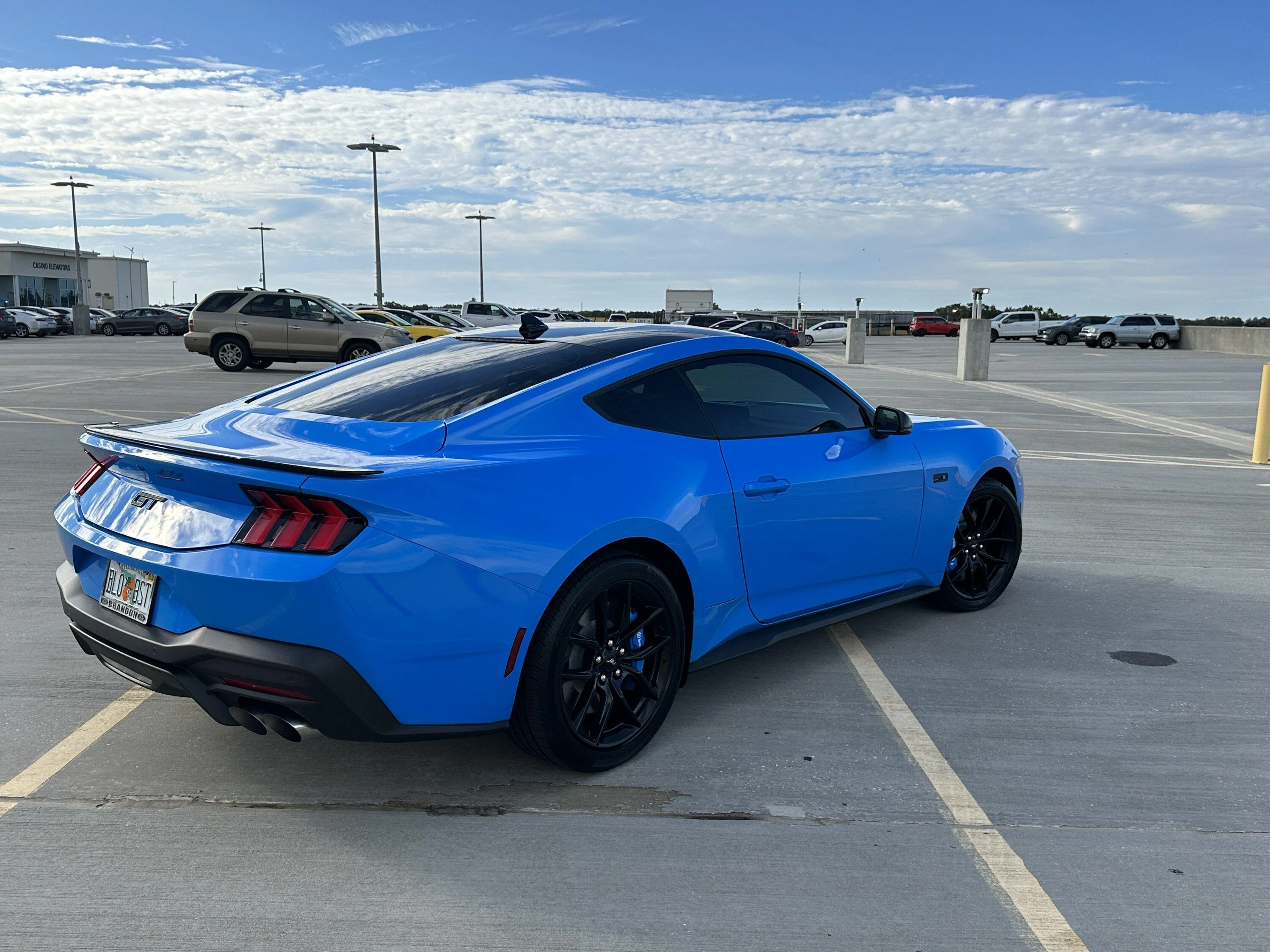 S650 Mustang The moment of truth is tomorrow... IMG_9625