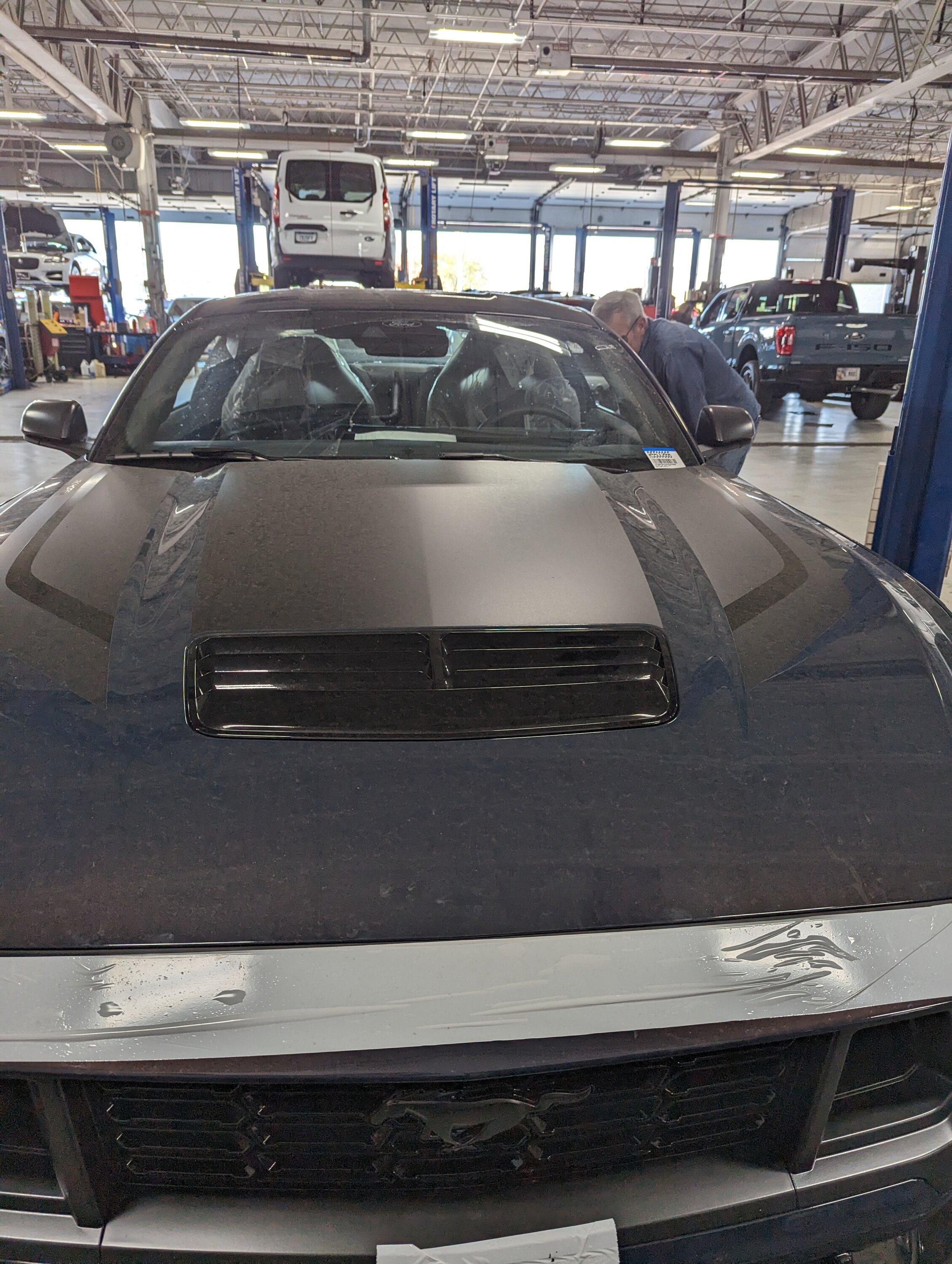 PXL_20231012_201312301.MP.jpg