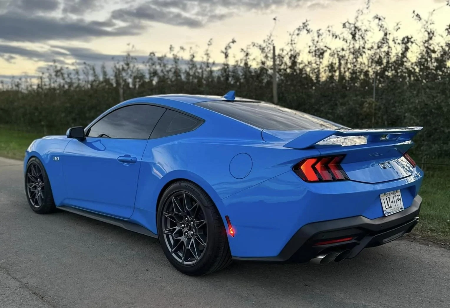 S650 Mustang Official GRABBER BLUE Mustang S650 Thread Grabber Blue 32