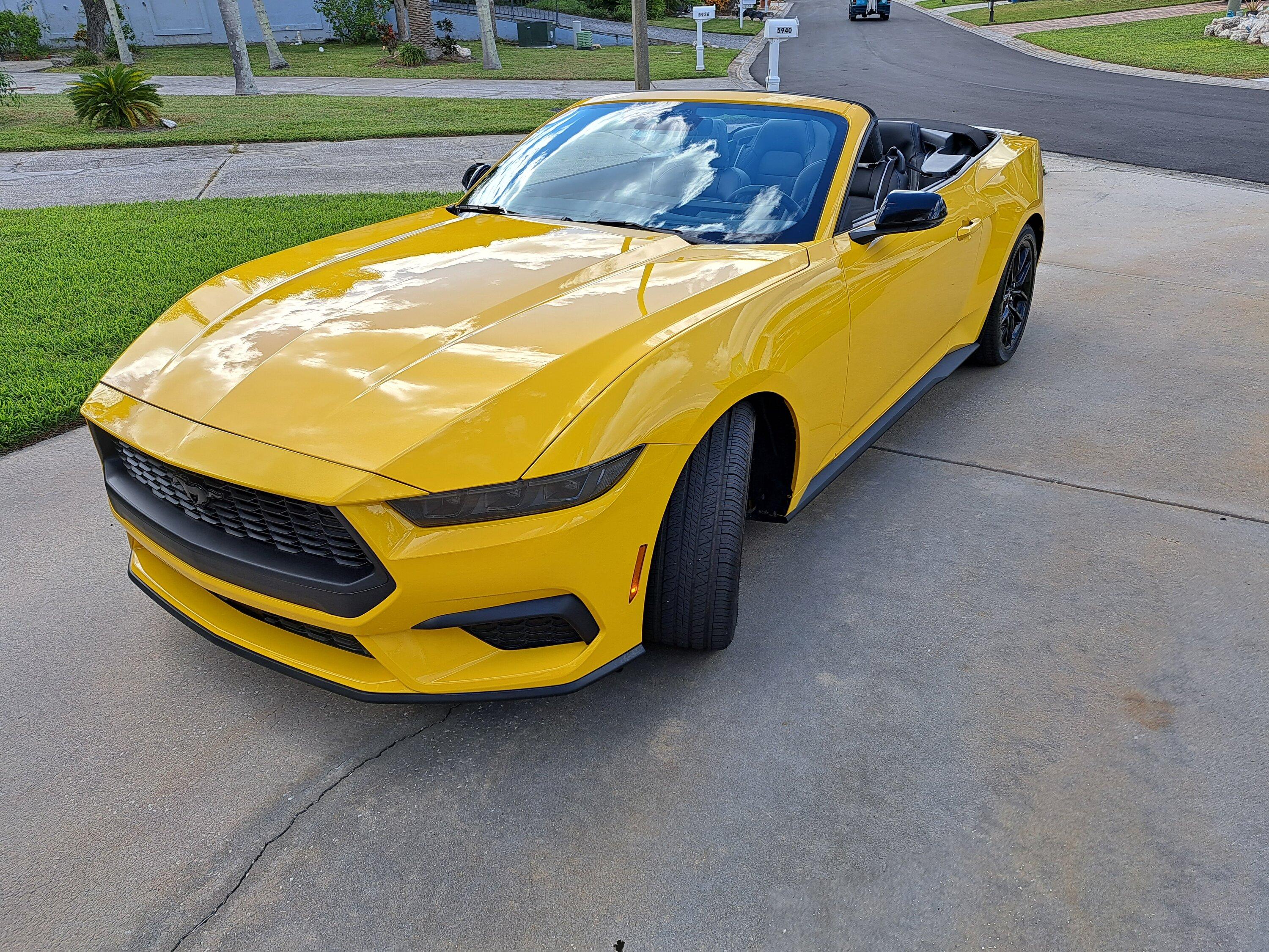 S650 Mustang Official YELLOW SPLASH Mustang S650 Thread 20231015_154506