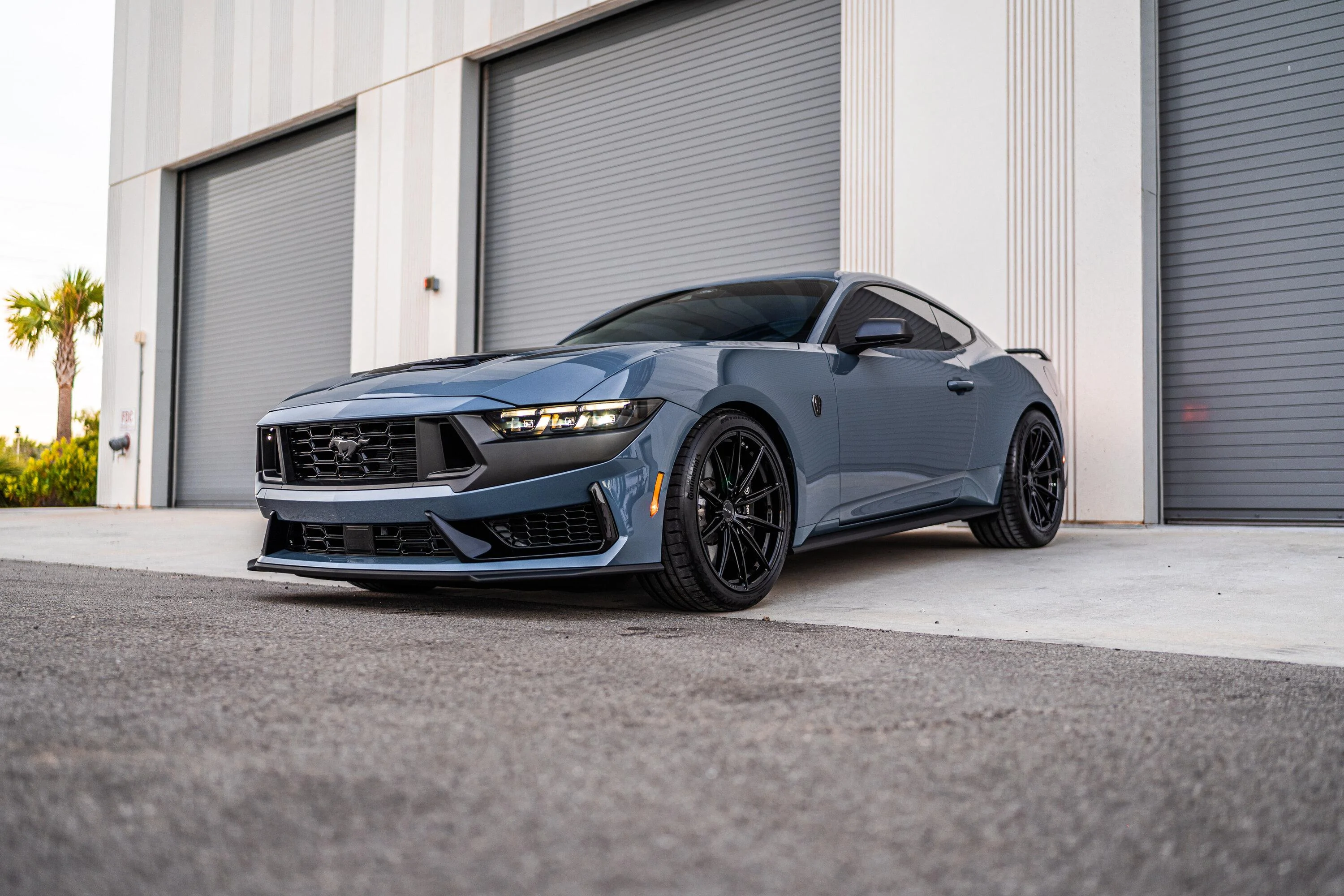 Dark Horse Velgen VF10-2.webp