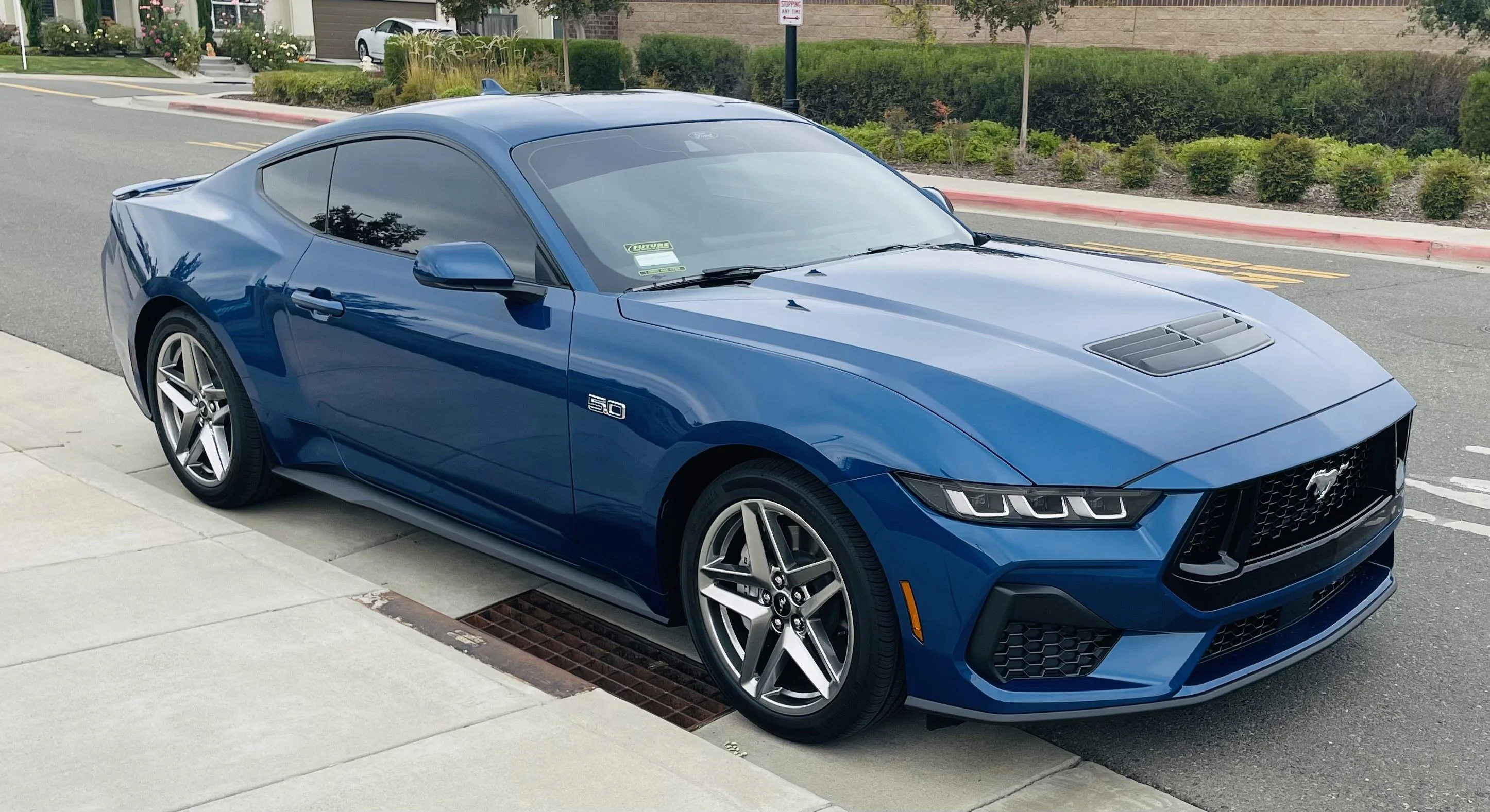S650 Mustang Official ATLAS BLUE Mustang S650 Thread IMG_6909