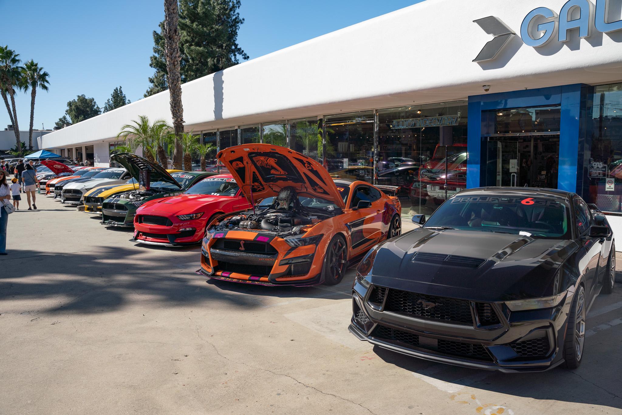 Galpin show 1.jpg
