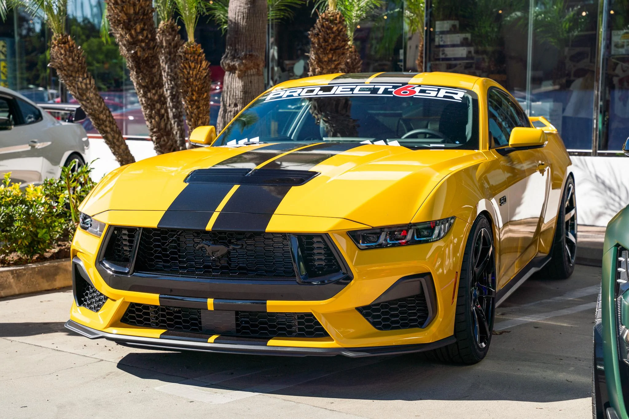 Galpin show 4.jpg